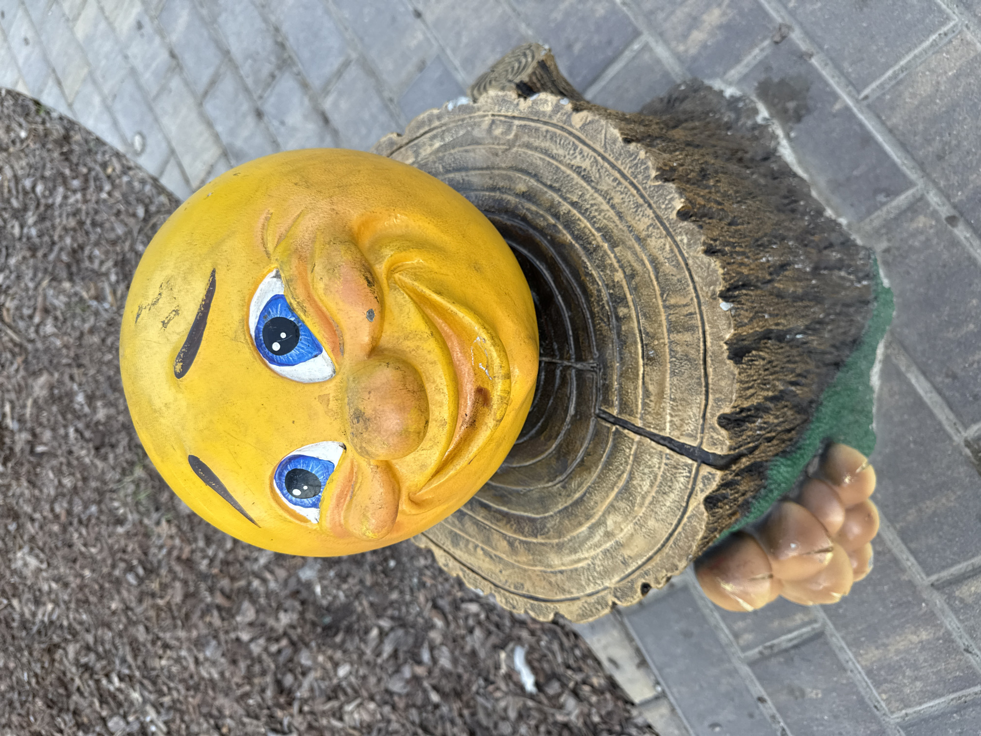 A close-up, top-down view captures a whimsical garden ornament. The primary subject is a bright yellow, spherical head with a stylized, exaggerated face. It features large, blue-irised eyes with black pupils, a prominent nose, and a wide, grinning mouth. The face is attached to a simulated tree stump, also an ornament, which has carved wood grain details and a textured bark-like finish. Green material, possibly artificial moss or grass, is visible at the base of the stump, and a cluster of brown, bulbous shapes, resembling acorns or pinecones, protrudes from the side.
The ornament rests on a textured surface, a mixture of dark wood chips or mulch and gray paving stones laid in a pattern. The paving stones suggest an outdoor setting, likely a garden path or patio. The lighting indicates it is daytime, with no discernible shadows suggesting a bright, possibly sunny, day. The overall impression is one of playful decoration, likely intended to add a touch of humor and character to an outdoor space. There is no visible text within the image. The location context of Vologda, Russia, is noted but not visually evident from the image itself.