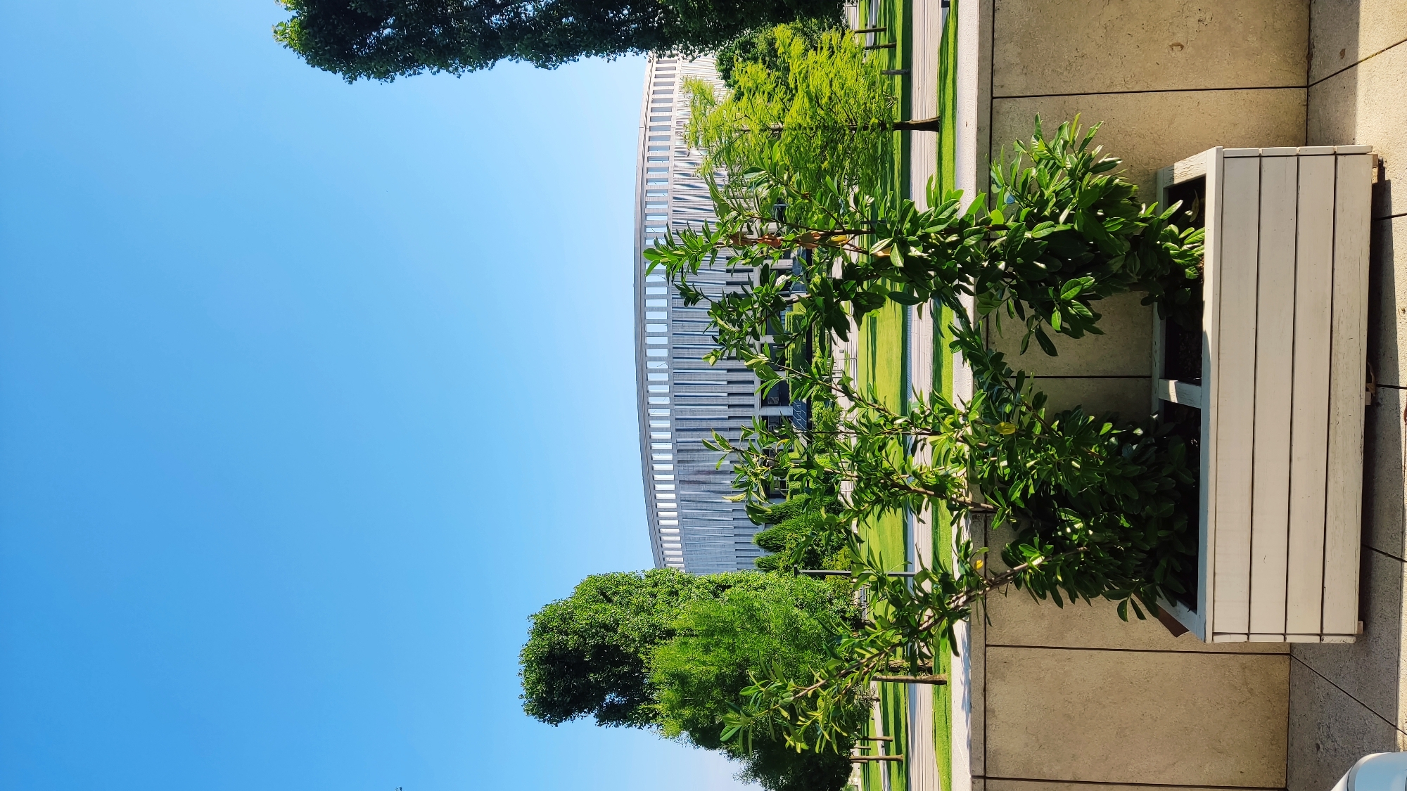 The image depicts a modern, circular building with a light-colored facade and numerous vertical windows, set against a clear blue sky. In the foreground, there are lush green trees and a white planter box containing two bushy green plants. The ground in front of the planter is paved. Behind the planter, a light-colored stone wall runs horizontally, with a neatly manicured lawn and more trees visible beyond it. The overall scene suggests an urban park or a public space with contemporary architecture and landscaping. This building is the FC Krasnodar Stadium, located in Krasnodar, Russia.