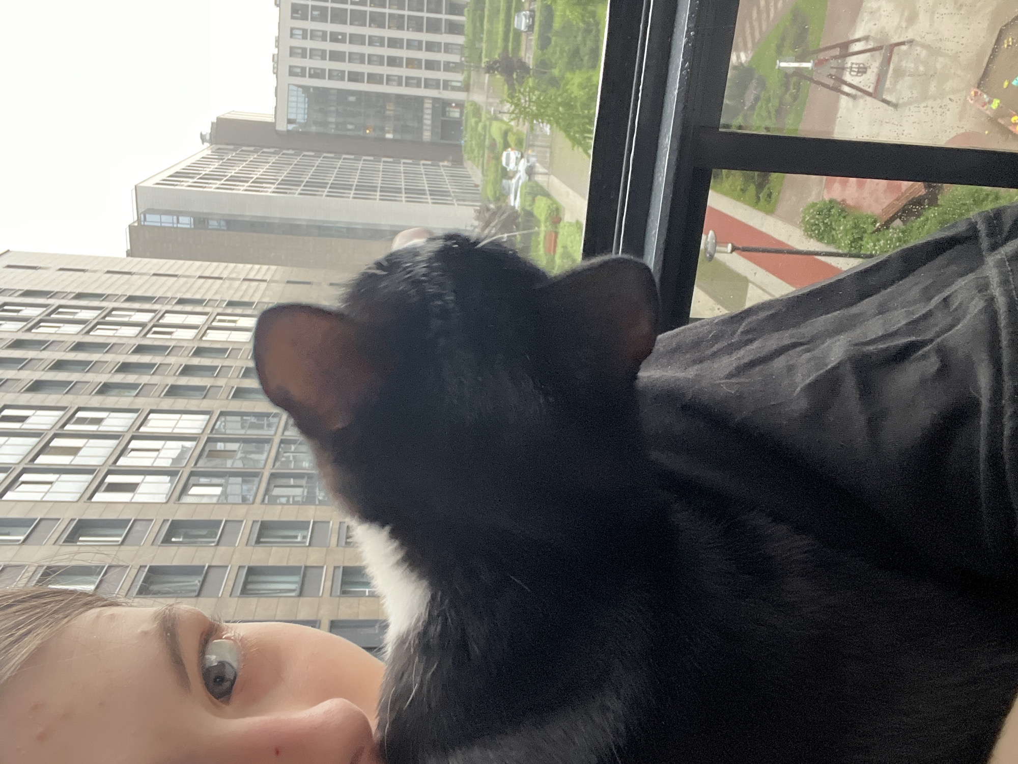 The image shows a close-up view of a person's face and a black and white cat. The person's eye is visible on the left side of the frame, looking slightly to the left. The cat is positioned in front of the person, with its head resting on the person's shoulder. The background consists of modern apartment buildings and a courtyard with greenery and a few cars. The weather appears to be overcast and possibly rainy, as indicated by water droplets on the window. The scene is likely a residential area in Saint Petersburg, Russia, given the architectural style of the buildings.