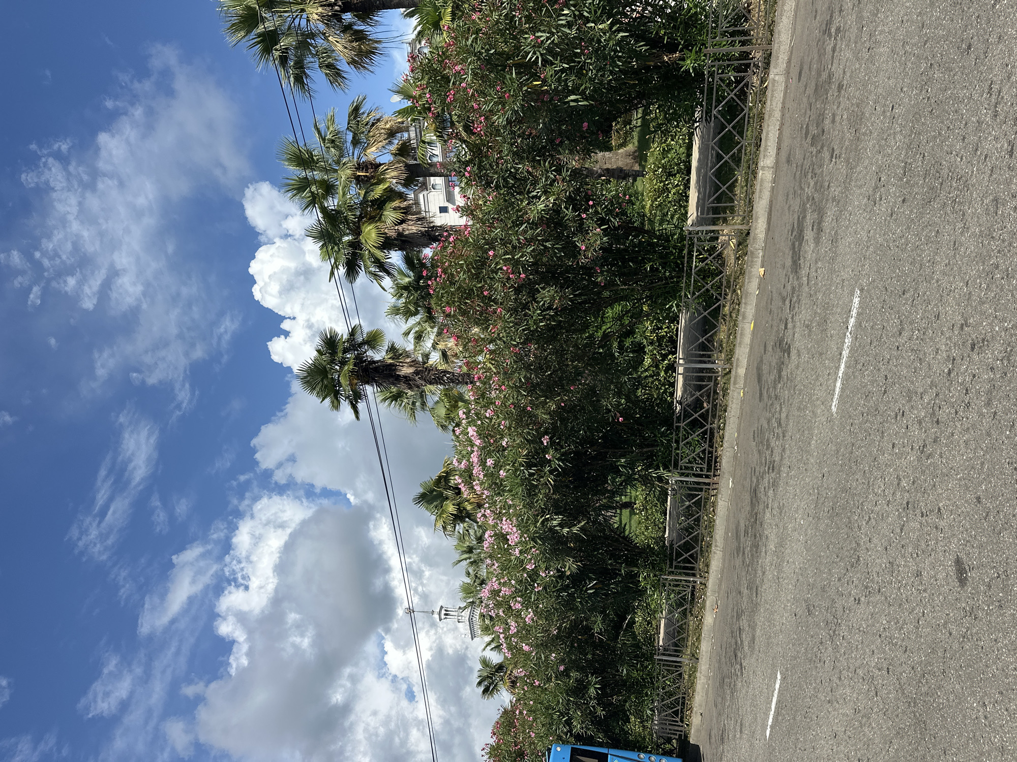 The image depicts a sunny day in Sochi, Russia, with a clear blue sky dotted with white, fluffy clouds. In the foreground, a paved road with white lane markings runs horizontally across the frame. To the left, the side of a blue vehicle is partially visible. Behind the road, a metal fence with a diamond pattern encloses a lush green area with blooming pink oleander bushes. Palm trees are scattered throughout the scene, with their fronds reaching towards the sky. In the background, a white building with a prominent spire can be seen, suggesting a location with some historical or architectural significance. The overall impression is one of a pleasant, tropical-like urban environment.