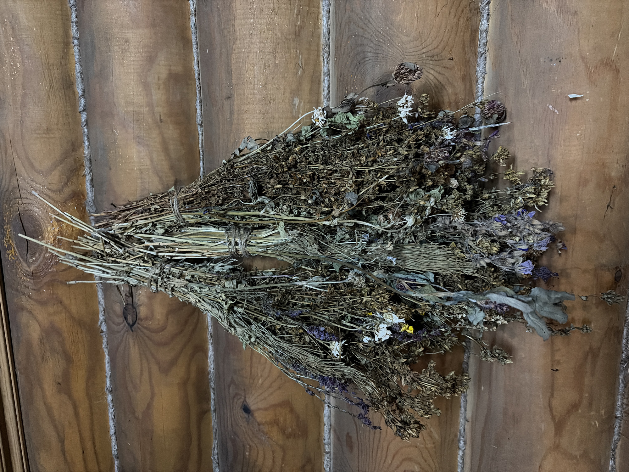 A bundle of dried herbs and flowers hangs against a rustic wooden wall. The wall is constructed from horizontal logs, with insulation visible between them. The bundle is tied with twine in the middle and fans out downwards, with various dried plant materials in shades of brown, green, and a few hints of purple and white from small flowers. The scene appears to be indoors, possibly in a home or rustic dwelling. The location is specified as Panovka, Russia.