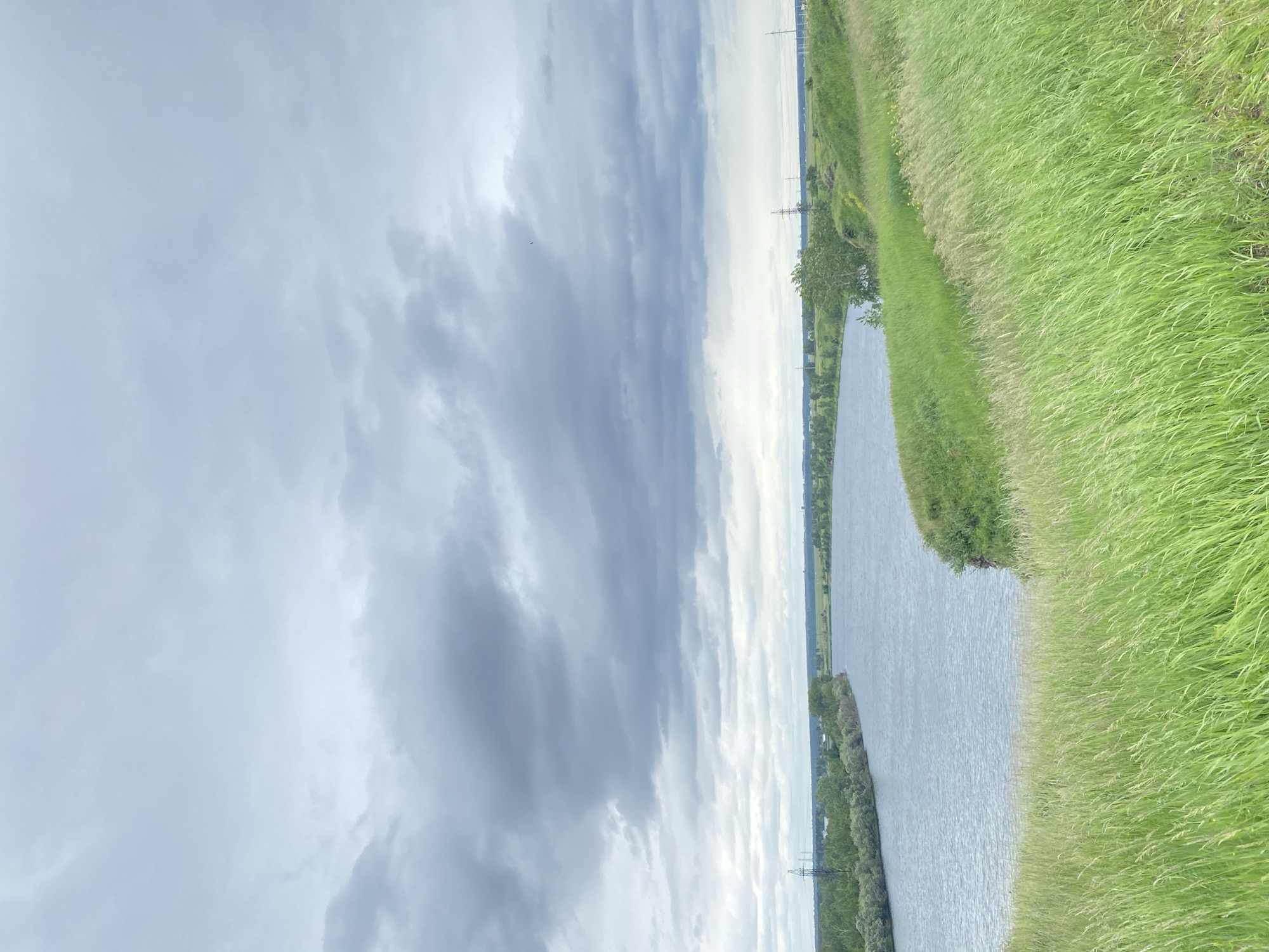 The image depicts a wide river winding through a landscape under a cloudy sky. In the foreground, a grassy hill slopes down towards the water, with tall green grass swaying in the wind. The river itself is calm, reflecting the muted tones of the sky. Along the opposite bank, a line of trees and vegetation is visible, with a few scattered power lines and pylons dotting the horizon. The overall impression is one of a tranquil, natural setting, likely in a rural or semi-rural area, consistent with the outskirts of Novomaltinsk, Russia. There are no people or animals visible in the frame, and no specific actions are taking place. The scene is static and focused on the natural environment.