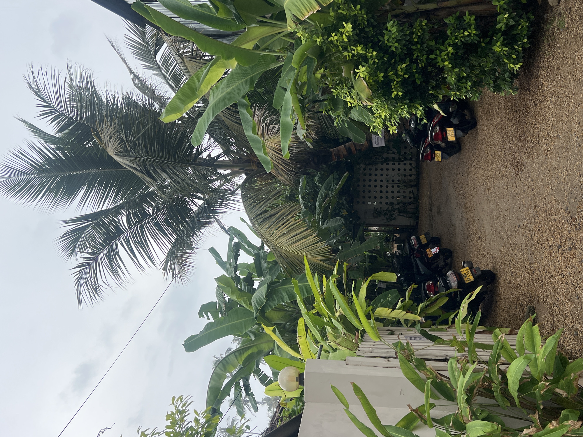 The image depicts a tropical scene in Goviyapana, Sri Lanka. A gravel driveway leads between dense vegetation including banana trees and a tall coconut palm. Parked along the right side of the driveway are several black motorbikes with visible yellow license plates. A white fence is visible in the foreground on the left. The sky is overcast.