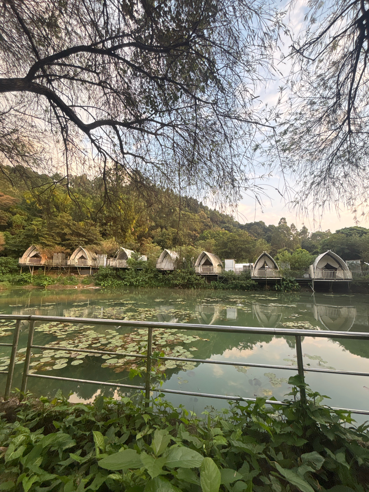 The image depicts a serene waterside scene, likely a resort or glamping site, situated in the Sanshui District of China. In the foreground, lush green foliage and a metal railing border a calm body of water. The water is partially covered with lily pads, and the reflections of the surrounding environment are visible on its surface.
Across the water, a row of unique, dome-shaped accommodations stands on stilts. These structures, with their white canvas exteriors and wooden decks, are nestled against a backdrop of densely wooded hills. The trees on the hillside exhibit shades of green and brown, suggesting a natural, possibly forested, landscape. The sky above is a soft blend of pale blue and warm hues, hinting at either early morning or late afternoon light. The overall impression is one of peaceful coexistence between human-made structures and nature. There are no people visible in the image.