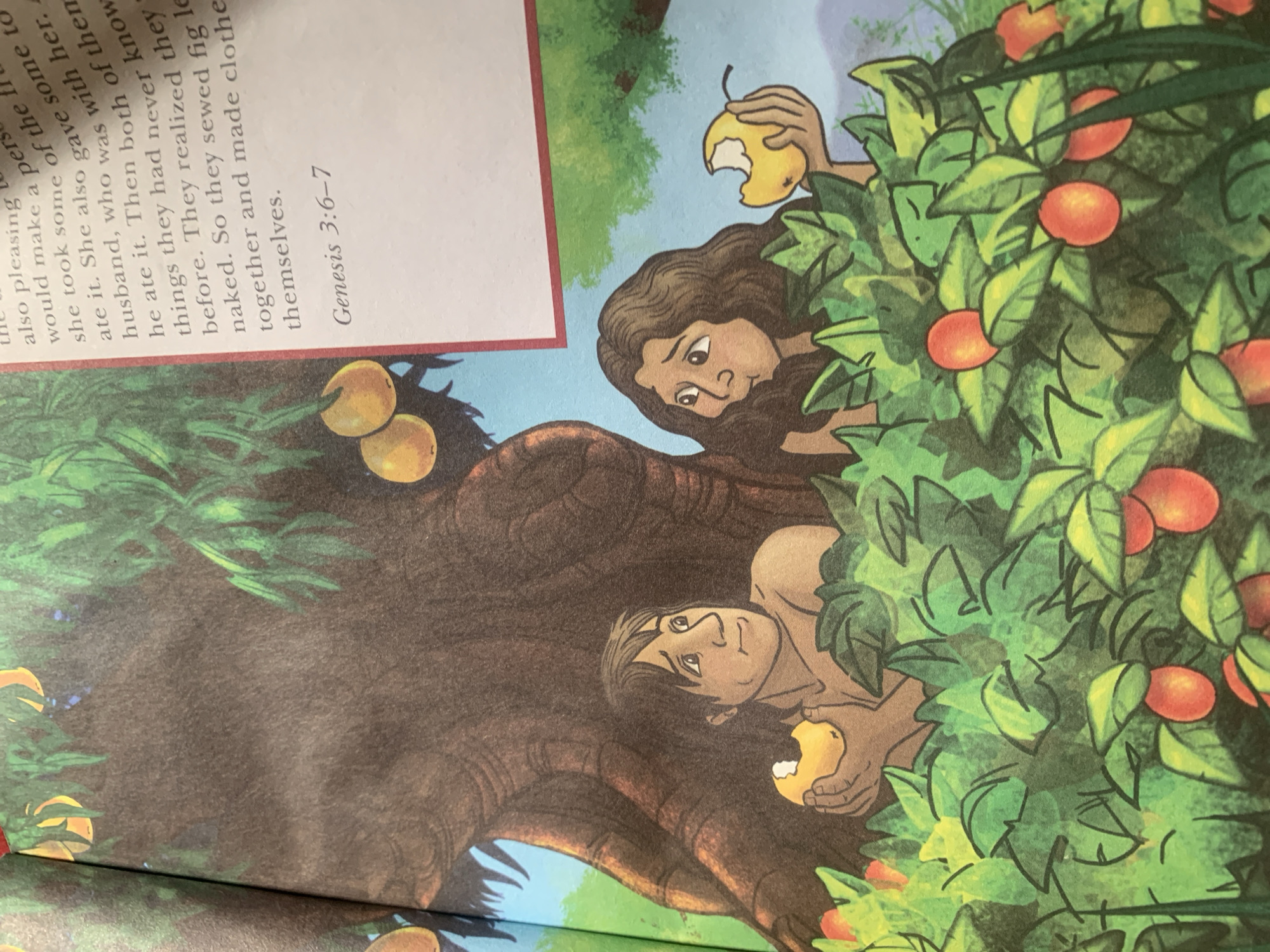 The image depicts an illustration from a book, featuring a scene with two figures, Adam and Eve, in a lush, leafy environment dominated by a large tree. Both figures are shown with bitten fruit in their hands, suggesting they have consumed it. Adam, on the left, has short dark hair and is looking to his right with a pensive expression, holding a yellow fruit with a bite mark. Eve, on the right, has long, wavy brown hair and is looking to her left with a surprised or concerned expression, also holding a bitten yellow fruit. They are partially obscured by green foliage and what appear to be red fruits on bushes in the foreground. In the background, the trunk of a large tree is prominent, with more yellow fruits hanging from its branches. Text from the book is visible on the right side of the image, with the words "Genesis 3:6-7" at the bottom. There is no information within the image or its context that indicates the location is the city of Jauro Yinu, Nigeria.