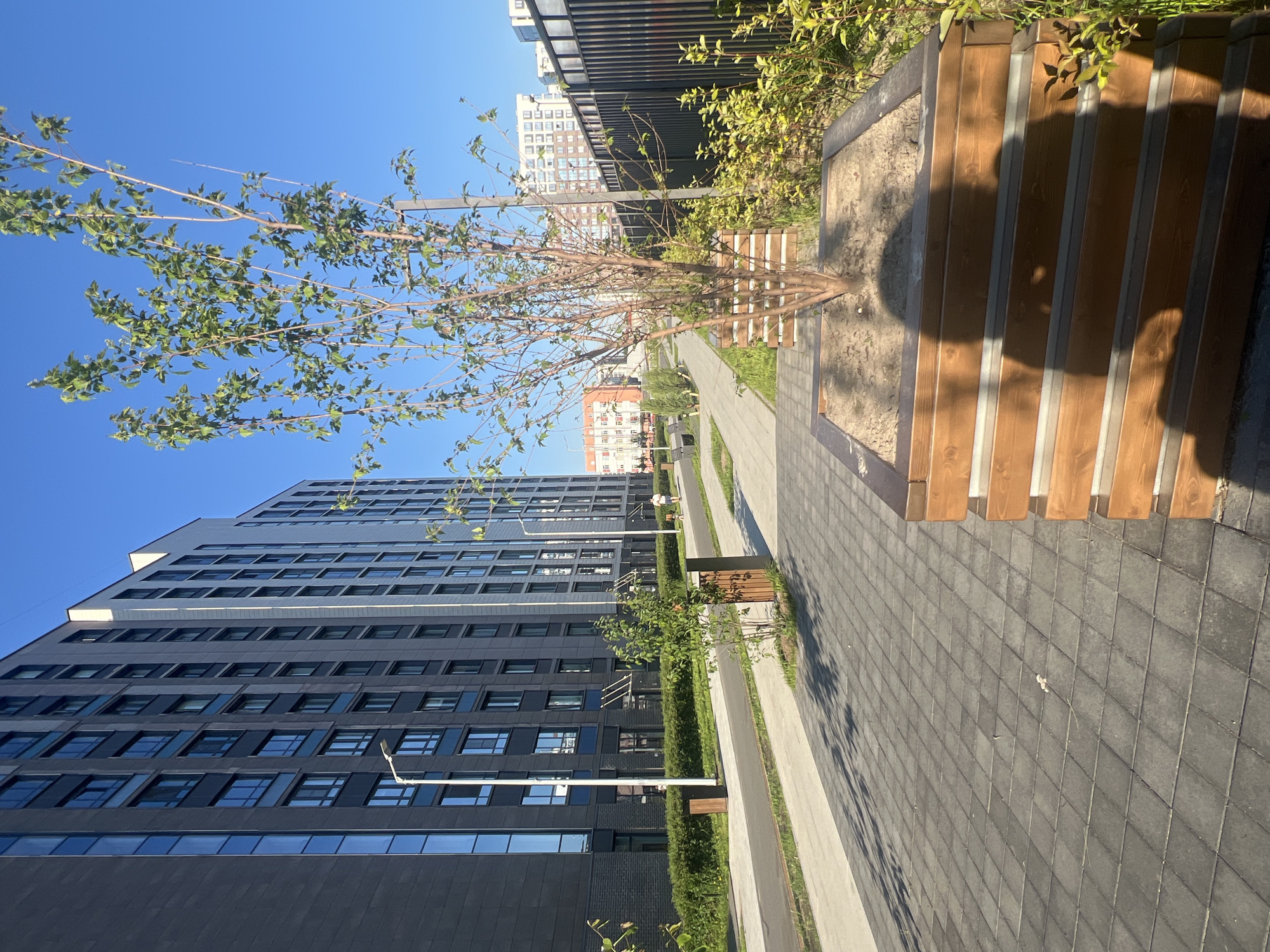 This vertically oriented image captures a modern urban landscape, likely a courtyard or park within a residential complex, bathed in bright sunlight under a clear blue sky.
In the foreground, a dark grey paved pathway, composed of square tiles, stretches into the distance. This path is bordered by a lighter concrete strip and a meticulously maintained landscaped area featuring low, manicured hedges and small trees. A young deciduous tree with fresh, light green leaves and thin branches stands in a raised planter box filled with soil or sand. Next to the planter, a modern wooden bench with horizontal slats and dark metal supports is visible.
Strong, elongated shadows are cast across the pathway and the planter box, indicating bright sunlight from mid-morning or afternoon. To the left of the pathway, a tall, multi-story building with a dark, sleek facade and numerous rectangular windows dominates the view. Its contemporary architecture reflects the blue sky. Further in the background, other multi-story buildings, some lighter in color, complete the modern residential setting. A white lamppost stands along the pathway.
A solitary figure is visible walking in the distance along the pathway, providing a sense of scale and subtle human presence in the otherwise calm and pristine environment. The overall scene conveys a sense of modern urban planning and cleanliness. There is no visible text in the image.
