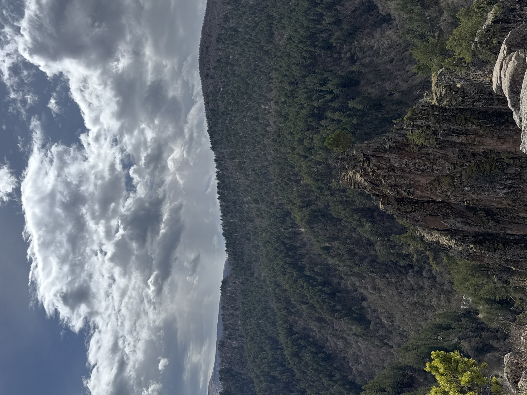 The image shows a steep, tree-covered mountain slope under a cloudy sky. The sky is predominantly gray with patches of blue. The mountainside is densely forested with evergreen trees. On the right, there is a rocky cliff face with some vegetation. The location is Unknown, Russia.