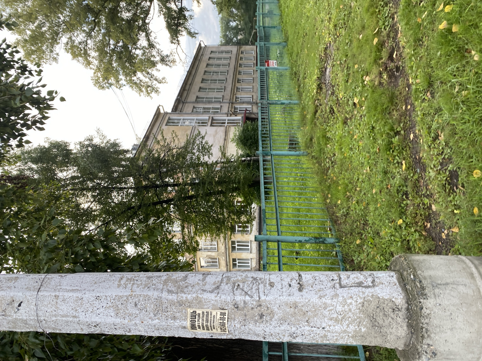 The image captures an outdoor scene in an urban environment, likely during daylight hours under an overcast sky. In the foreground, a weathered concrete utility pole stands prominently on the left. Attached to it is a yellow poster with black text in Russian. The text appears to be an advertisement or notice, mentioning "ПОМОЩЬ" (help) and a phone number. Behind the pole, a green metal fence delineates a grassy area. Beyond the fence, a light-colored, multi-story building with numerous windows is visible. Trees with green foliage are scattered throughout the scene, some partially obscuring the building. The ground is covered in grass, with fallen yellow leaves suggesting it might be autumn. The overall atmosphere is subdued and mundane, typical of an everyday street view.