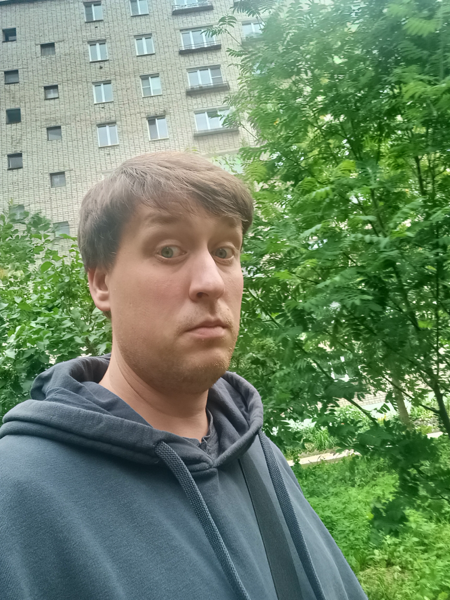 The media file is a selfie of a man in Chaikovsky, Russia. The man has light brown hair and is looking directly at the camera with a slightly surprised expression. He is wearing a dark gray hooded sweatshirt.
In the background, a brick apartment building with numerous windows is visible. To the right of the building and behind the man, a lush green tree with dense foliage is prominent. The scene appears to be outdoors, with greenery suggesting it is daytime. The overall impression is a casual, everyday moment captured in an urban or suburban environment. There is no visible text in the media file.