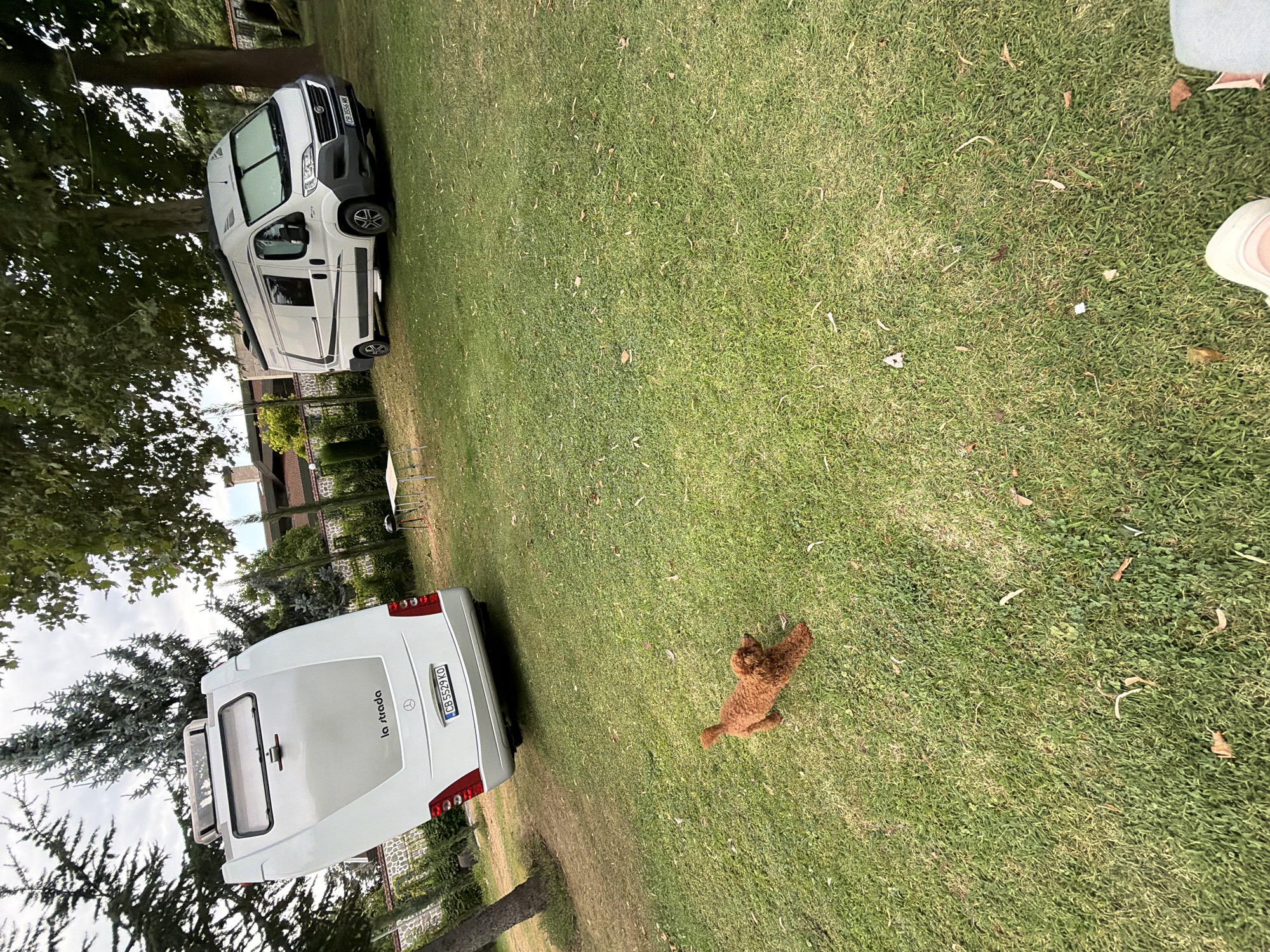 The image depicts an outdoor scene at a residence in Kazanlak, Bulgaria. Two white recreational vehicles, a larger motorhome and a smaller camper van, are parked on a grassy lawn. The motorhome is a "La Strada" model, silver and white, with the license plate "CB 5529 KO". The camper van, also white, has the license plate "CB 3556 MK". A small, fluffy brown poodle is running on the grass between the vehicles. In the background, there are trees, a stone wall, and part of a building with a red tiled roof. A small white table and chairs are also visible on the lawn. The sky is overcast.