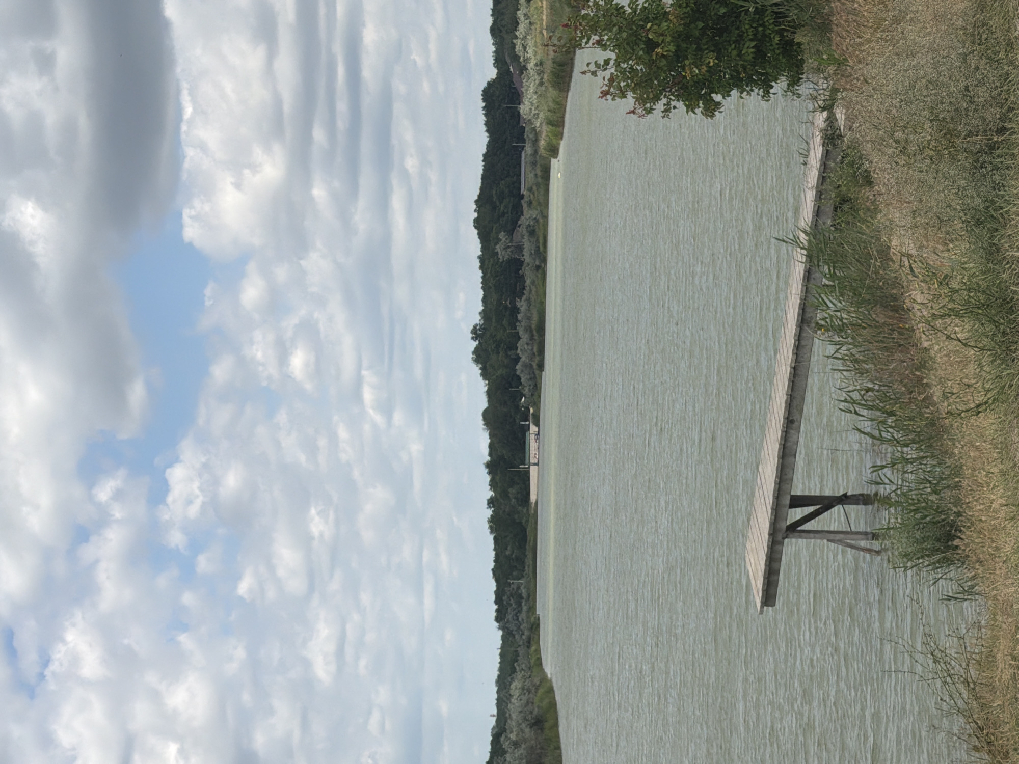 The image shows a lake with a wooden pier extending into the water. The pier is made of light-colored wooden planks supported by angled wooden beams. The lake's surface is calm with subtle ripples. The shore on the right is covered in dry grasses and reeds, with some green foliage closer to the water. In the background, a dense line of trees runs along the horizon, suggesting a wooded area. Above the trees, the sky is filled with a mix of white and gray clouds, with patches of blue sky visible. The overall scene appears to be outdoors on a cloudy day. There is no visible text in the image. The orientation of the image is landscape, but the content is displayed vertically.