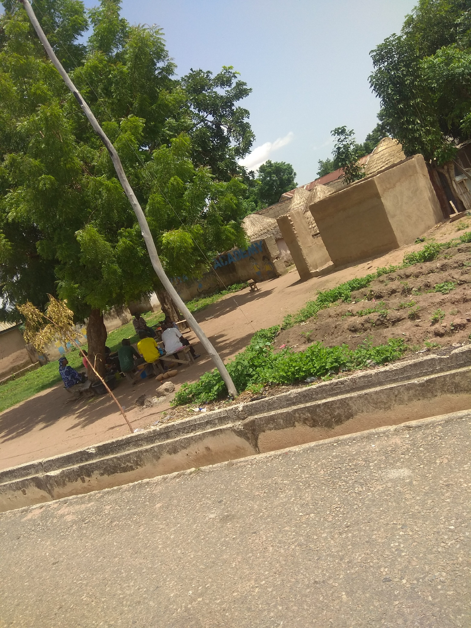 This is a medium-shot, outdoor, eye-level photograph taken on a sunny day with a clear blue sky and scattered clouds. The scene depicts a rural or semi-rural setting in Jalingo, Nigeria, with a focus on a group of people gathered under a large, leafy tree. The ground is a mix of dirt and dry grass.
In the foreground, a paved road with a concrete gutter runs diagonally across the bottom of the frame. Behind the gutter, there is a patch of green vegetation.
The main subject of the image is a group of approximately five men sitting on wooden benches under the shade of a large tree. They are casually dressed and appear to be engaged in conversation or relaxation. One man in the foreground is wearing a blue and white patterned shirt. Further into the shade, several other men are visible, including one in a yellow shirt and another in a green shirt.
Behind the people and the tree, there are some structures that appear to be traditional homes with thatched roofs and mud or concrete walls. To the right of the tree, there is a cultivated garden area with rows of small green plants growing in the soil.
A tall, grey pole, possibly a utility pole or a makeshift support, runs vertically through the left side of the image, partially obscuring the tree and the background. The overall atmosphere appears peaceful and relaxed, suggesting a typical day in this location. There is some faded graffiti on a wall in the background, but it is illegible. The time of day appears to be midday or early afternoon, given the bright sunlight and shadows.