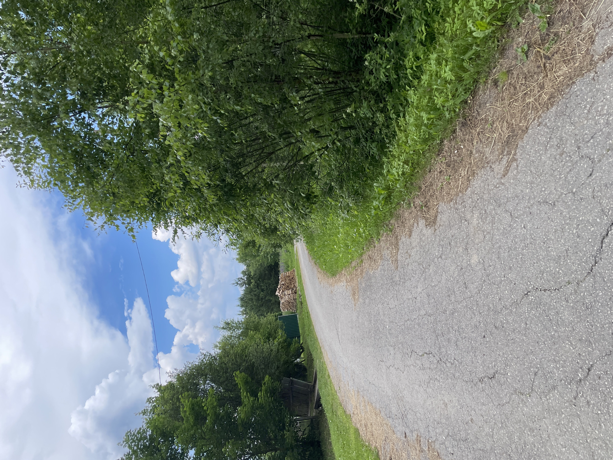 The image depicts a rural road in the village of Prudyy, Russia. The road is paved with asphalt and shows signs of wear, with visible cracks. It curves to the right, disappearing into the distance. On the left side of the road, there is a wooden fence and a structure that appears to be a shed or small building. Further down the road, a pile of neatly stacked firewood is visible next to a green fence. Lush green trees and vegetation line the right side of the road, with dense foliage and undergrowth. The sky above is partly cloudy with blue patches, indicating a summer day. The overall scene conveys a tranquil, natural environment typical of a Russian countryside. There are no people or animals visible in the image.