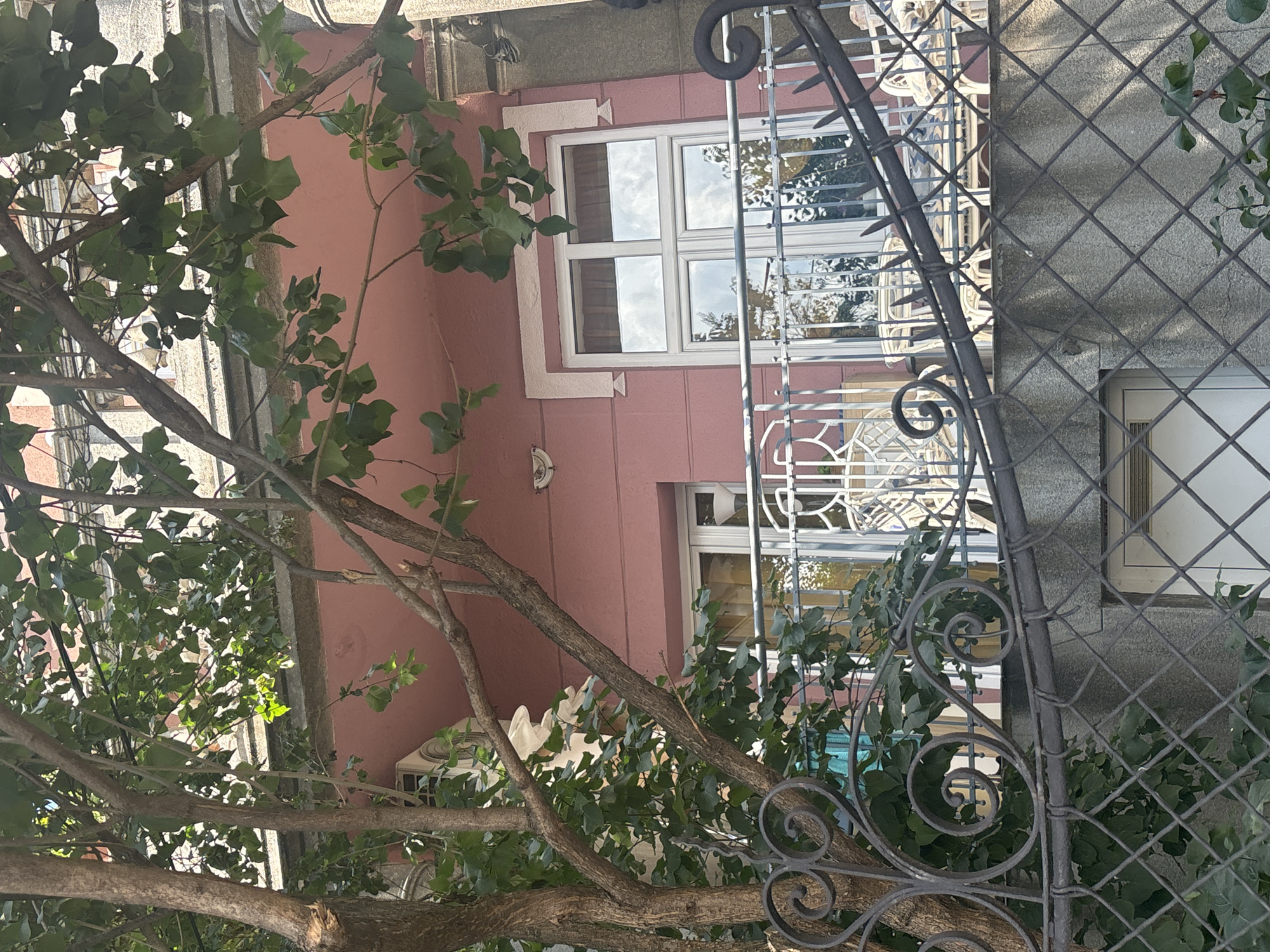 The image shows a close-up view of a building facade with a tree in the foreground. The building has a pink-colored wall and features white-framed windows with reflective glass. A decorative metal grate with intricate scrollwork is visible in front of the windows, partially obscuring them. The tree has several branches with green leaves that extend across the frame, some of which are illuminated by sunlight. In the background, another window with similar metal detailing is visible, as well as an air conditioning unit. The scene appears to be an outdoor urban setting, likely in Serbia, given the location context. The time of day seems to be daytime, as indicated by the bright lighting and the reflection of the sky in the windows. There are no people visible in the image, and no text is present.