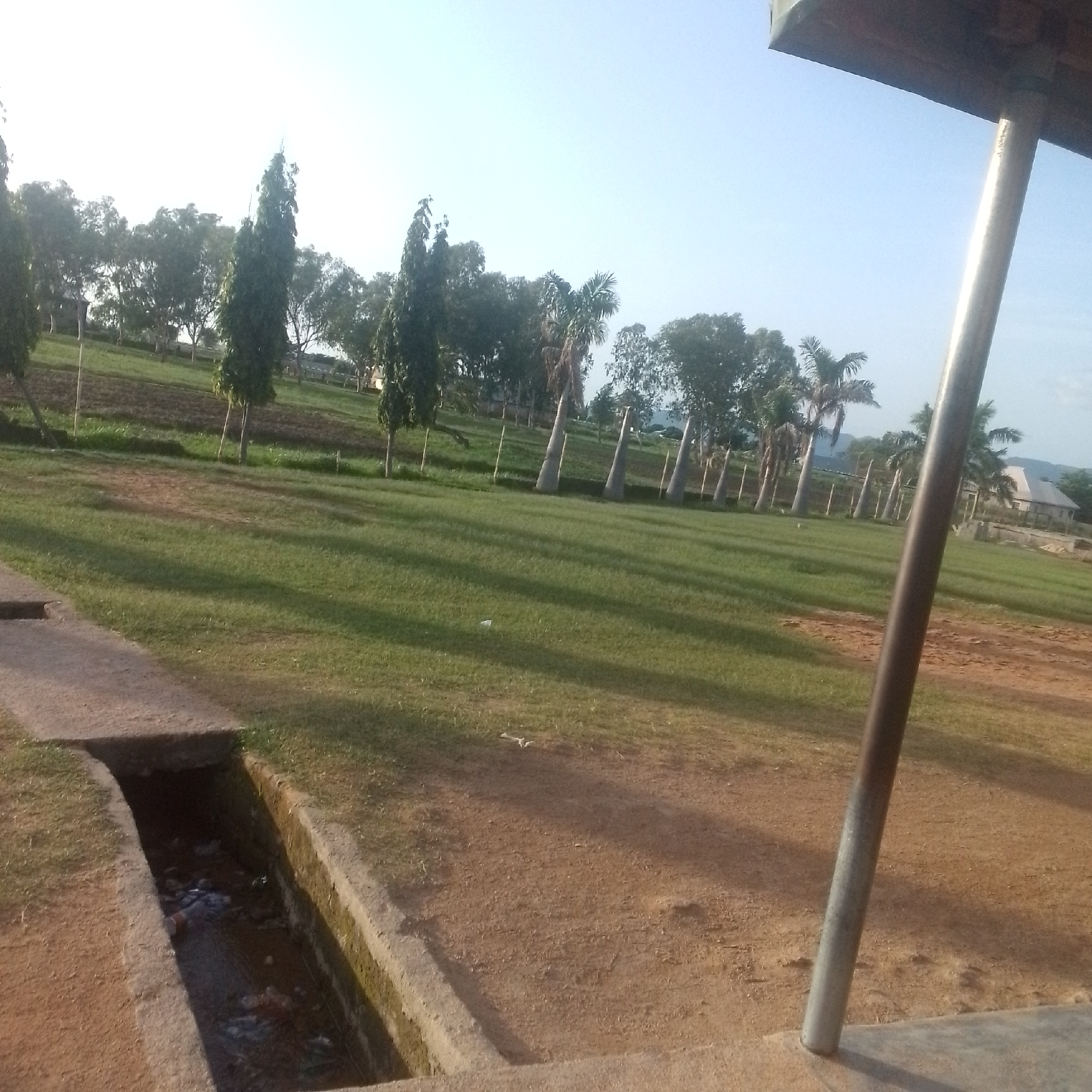 This is a ground-level, wide-angle photograph taken outdoors in Jalingo, Nigeria. The scene depicts a grassy area with several tall, slender trees and some palm trees. A concrete drainage ditch filled with murky water and some debris is visible in the foreground on the left. The ground transitions from the concrete and dirt around the ditch to a large expanse of green grass, which is partially covered in shadows cast by unseen objects. In the background, more trees and a building with a light-colored roof are visible. A metallic pole, likely part of a structure, is prominent in the right side of the image, angled upwards and out of frame. The sky is clear and a pale blue, suggesting it is daytime, possibly late afternoon due to the long shadows. There is no text visible in the image. The overall impression is of a park or open space, possibly in a somewhat undeveloped or arid region given the drainage ditch and bare earth areas.