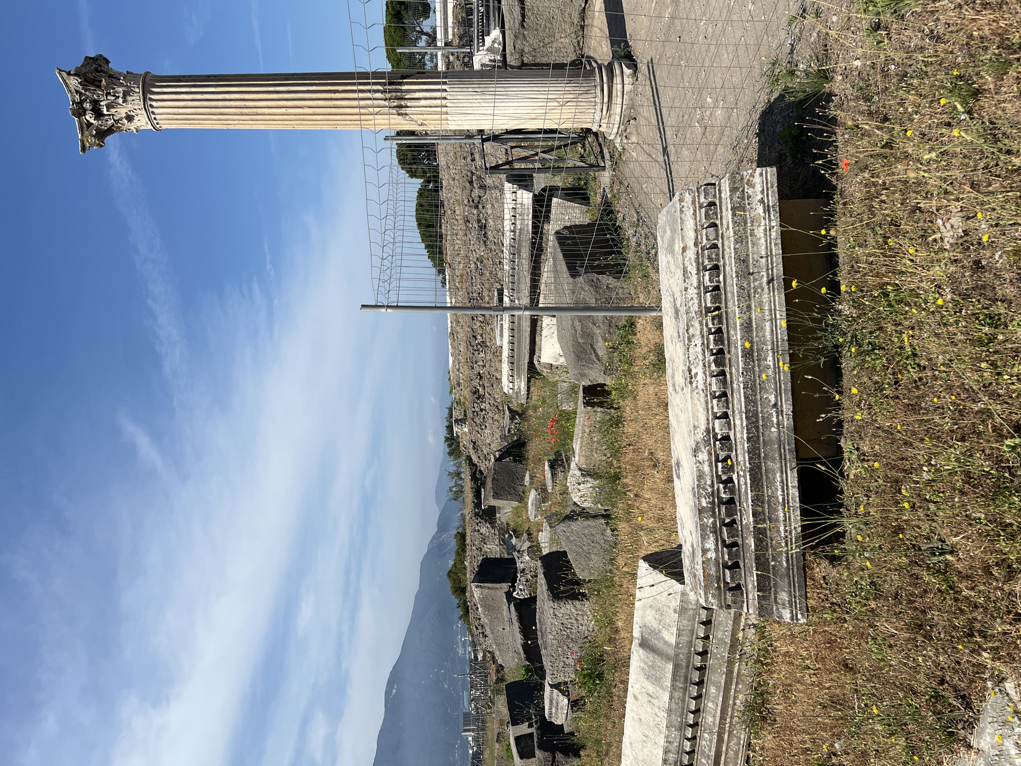 This is a vertical, eye-level outdoor photograph of the ruins of Pompeii, Italy, on a sunny day. In the foreground, a large, carved stone fragment with a decorative border lies on the ground, partially covered by dry grass and scattered wildflowers, including poppies. To the right, a tall, fluted Corinthian column stands, its capital weathered and partially broken. A wire fence separates the column and further ruins from a gravel path. In the mid-ground, a jumble of large, dark stones, likely architectural debris, are scattered across the landscape, interspersed with more dry grass and red wildflowers. In the background, a range of hills, some covered in trees, forms the horizon, with evidence of modern construction visible in the distance. The sky is a bright blue with scattered white clouds.