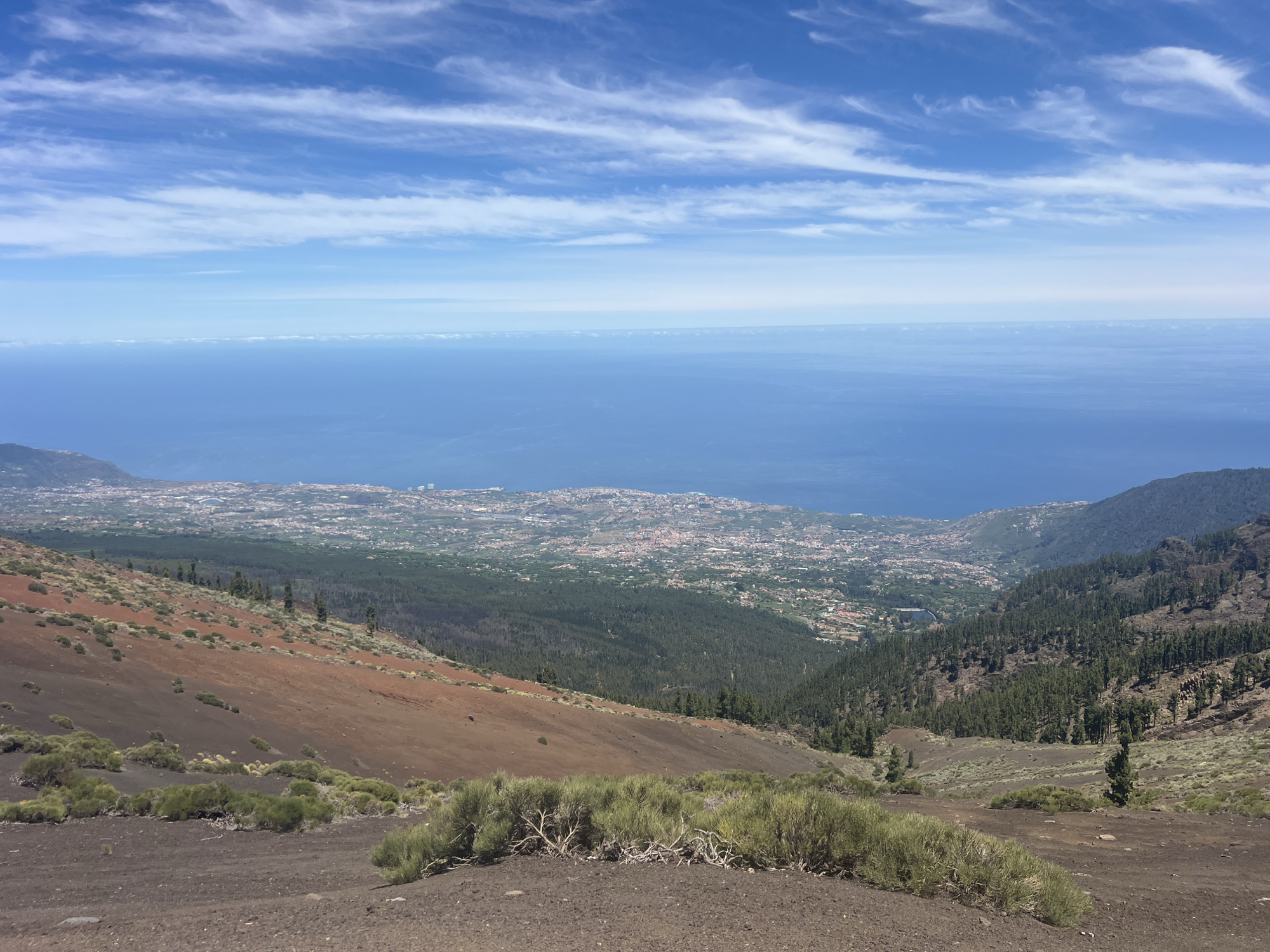 The image captures a panoramic view from a high vantage point, likely a volcanic slope, overlooking the coastal city of La Orotava, Spain. In the foreground, the terrain is a mixture of dark, volcanic soil and sparse, low-lying green shrubbery. The ground slopes downwards, showing patches of reddish-brown soil, characteristic of volcanic ash. Further down the slope, the vegetation becomes denser, transitioning into a dark green pine forest that covers the hillsides.
Beyond the forest, the city of La Orotava sprawls across the landscape, a densely packed collection of buildings with red-tiled roofs, interspersed with green areas. The city extends towards the coast, where it meets the vast expanse of the deep blue Atlantic Ocean. The ocean stretches to the horizon, meeting a bright, pale blue sky filled with wispy white clouds. The overall impression is one of a dramatic transition from rugged, arid volcanic terrain to a lush, populated coastal environment. There are no people or animals visible in the image.