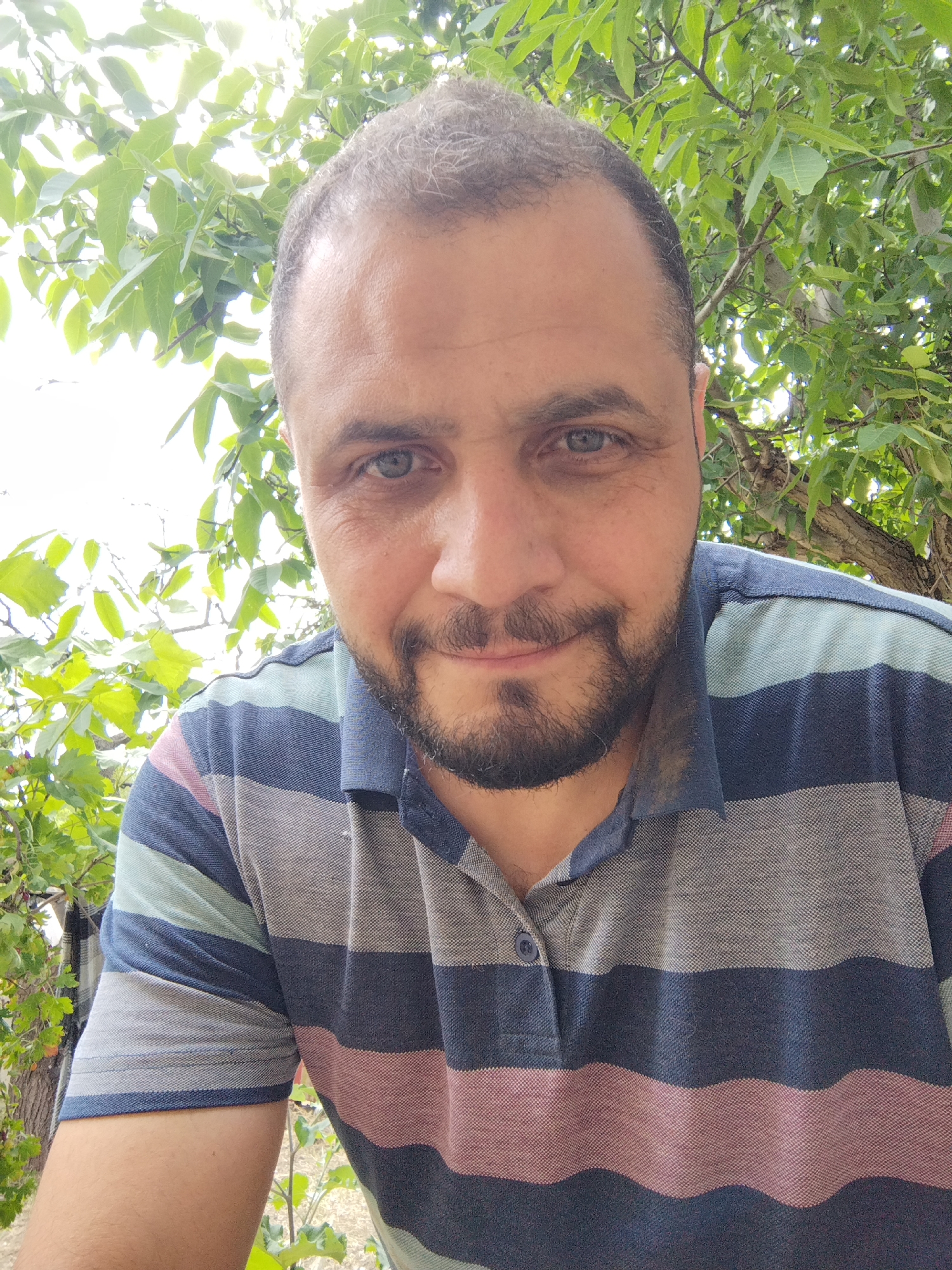 A man with blue eyes, a beard, and short brown hair is shown in a close-up selfie outdoors. He is wearing a striped polo shirt with bands of dark blue, light gray, and dusty rose. The man is positioned centrally in the frame, with his face angled slightly to his left. Behind him, out of focus, is lush green foliage from trees and vegetation, with bright sky visible through the leaves. The setting appears to be natural, likely a park or garden, given the dense greenery.
