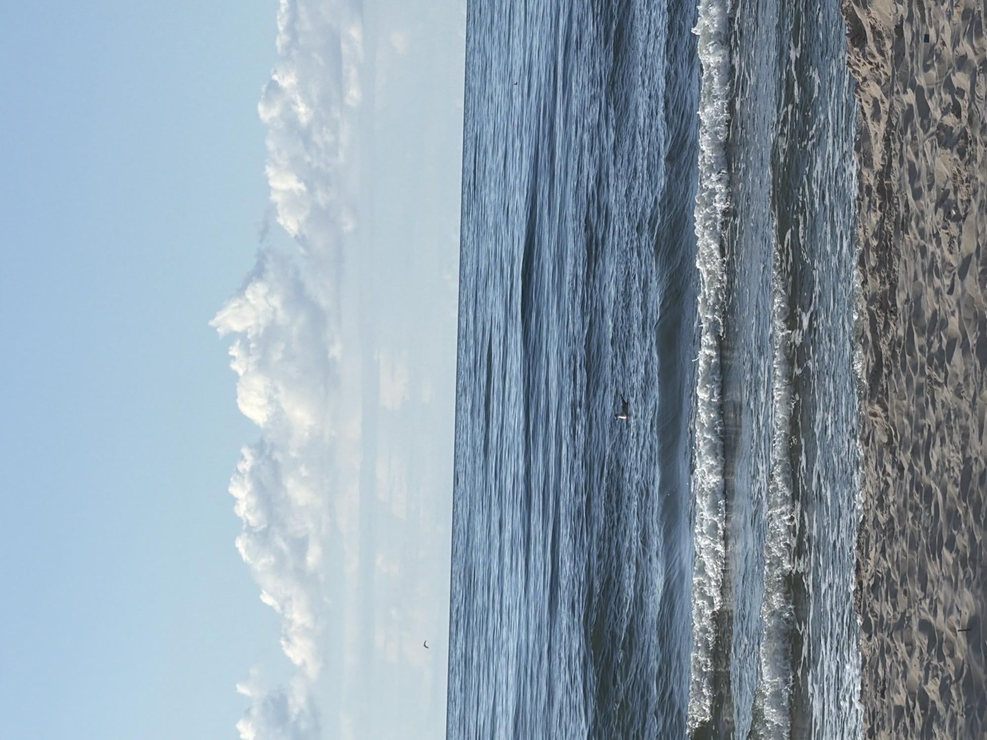This is a photograph of the Baltic Sea at Międzyzdroje, Poland. The image captures a serene beach scene with calm, deep blue water stretching towards the horizon. Gentle waves with white foam are breaking near the shore, which is composed of light brown sand. In the distance, a few white, fluffy clouds are scattered across a pale blue sky. A single seagull is visible floating on the water, and another bird is flying in the upper left quadrant of the sky. The overall impression is one of tranquility and natural beauty.