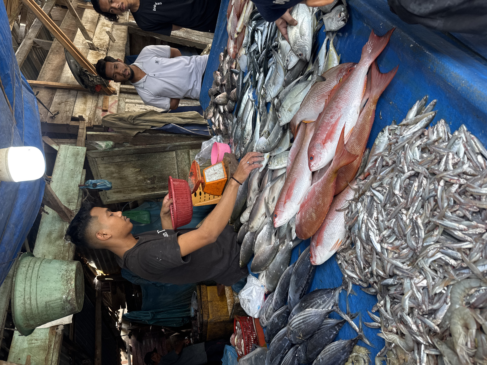 The image depicts a vibrant fish market scene in Deah Pangwa, Indonesia, with a strong emphasis on the fresh seafood on display. In the foreground, a blue tarp covers a table laden with various types of fish, predominantly silver and red varieties, meticulously arranged. Among the larger fish, a pile of smaller, silvery fish and several large prawns are visible. To the left, a young man wearing a black t-shirt is actively engaged in weighing fish, holding a red basket and interacting with a scale. Behind him, a portion of the market structure is visible, with rustic wooden beams, a blue tarp roof, and hanging green buckets. Further back, two other men, dressed in light grey and black shirts respectively, stand and observe. The overall impression is one of a bustling local market, showcasing the day's catch.