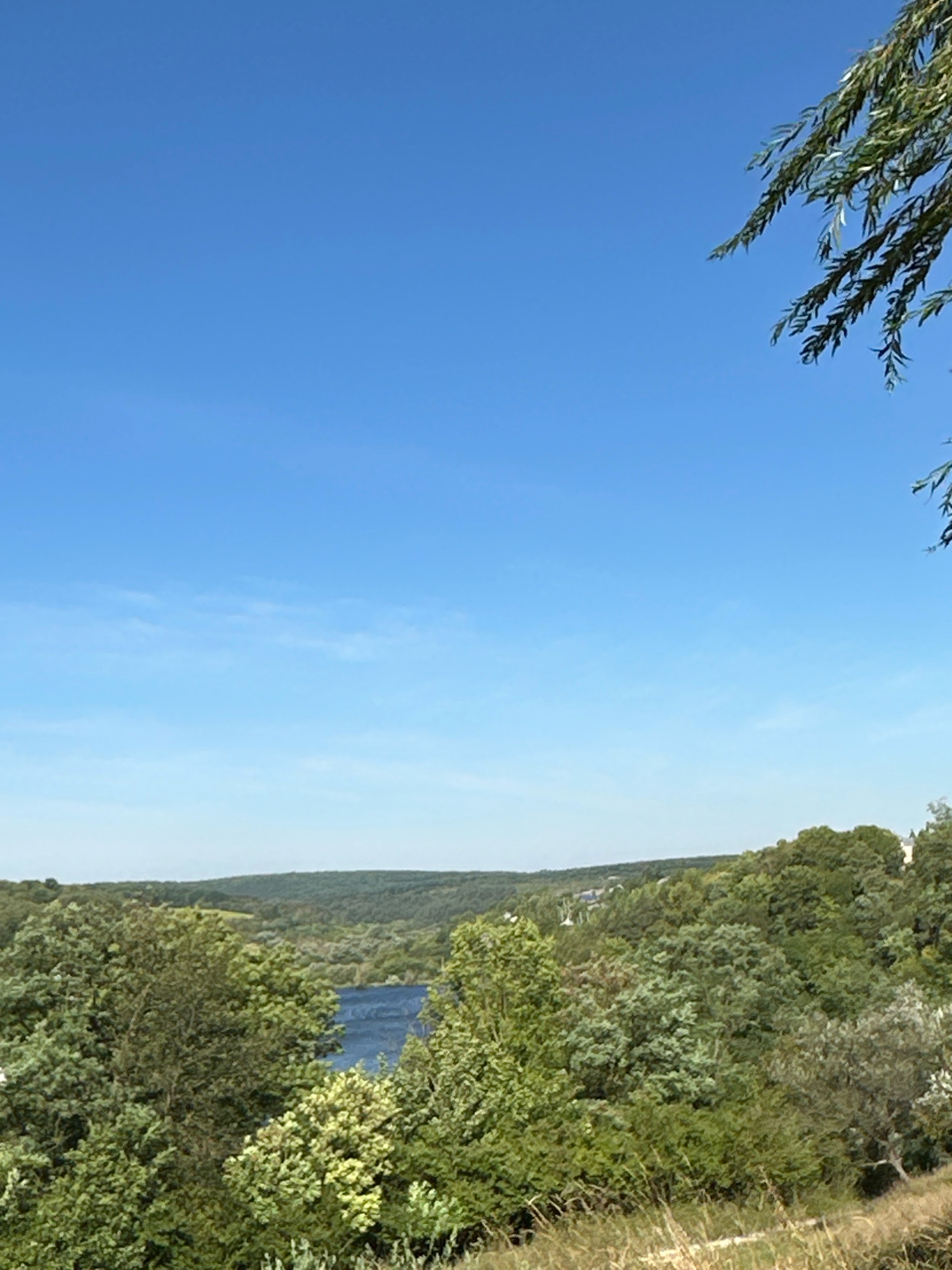 The image shows a panoramic view of a landscape with a clear blue sky. In the foreground, there are dry grasses and the lower branches of a tree with green leaves hanging from the top right corner. The middle ground features a dense forest with various shades of green trees. A dark blue body of water, possibly a river or lake, is visible in the distance, nestled within the rolling hills covered in lush vegetation. In the far background, more distant hills are visible under the vast expanse of the sky. The scene is typical of the natural environment found in and around Makiv, Ukraine, characterized by its verdant forests and waterways. There are no people or specific man-made structures immediately apparent in the main landscape, suggesting a natural or semi-natural setting. The lighting indicates it is daytime, with bright sunlight.