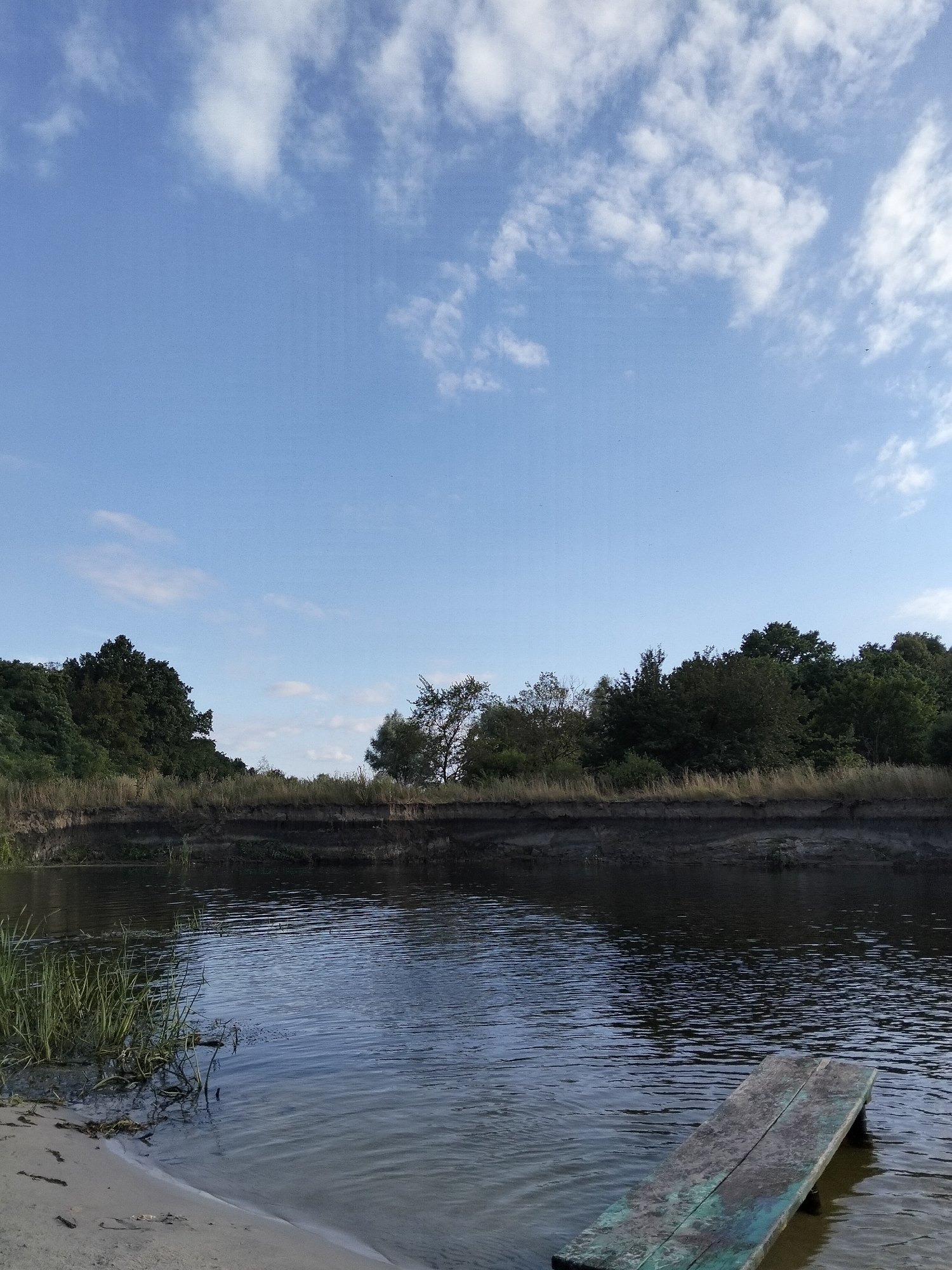 The image depicts a tranquil natural scene at the edge of a body of water, likely a river or lake, in Ustyvytsia, Ukraine. The sky is a bright, clear blue, dotted with fluffy white clouds, suggesting fair weather. A dense line of green trees forms the background, with varying shades of green indicating different types of foliage. The trees are situated on a raised embankment, which slopes down towards the water. The water itself is dark and calm, with subtle ripples on its surface reflecting the sky. On the left bank, tall green reeds grow, and a sandy shore is visible. In the foreground, a weathered wooden plank, possibly part of a makeshift dock or a fallen structure, juts out into the water at an angle. The plank has a faded green hue and appears old and somewhat deteriorated. The overall impression is one of natural beauty and peaceful solitude.