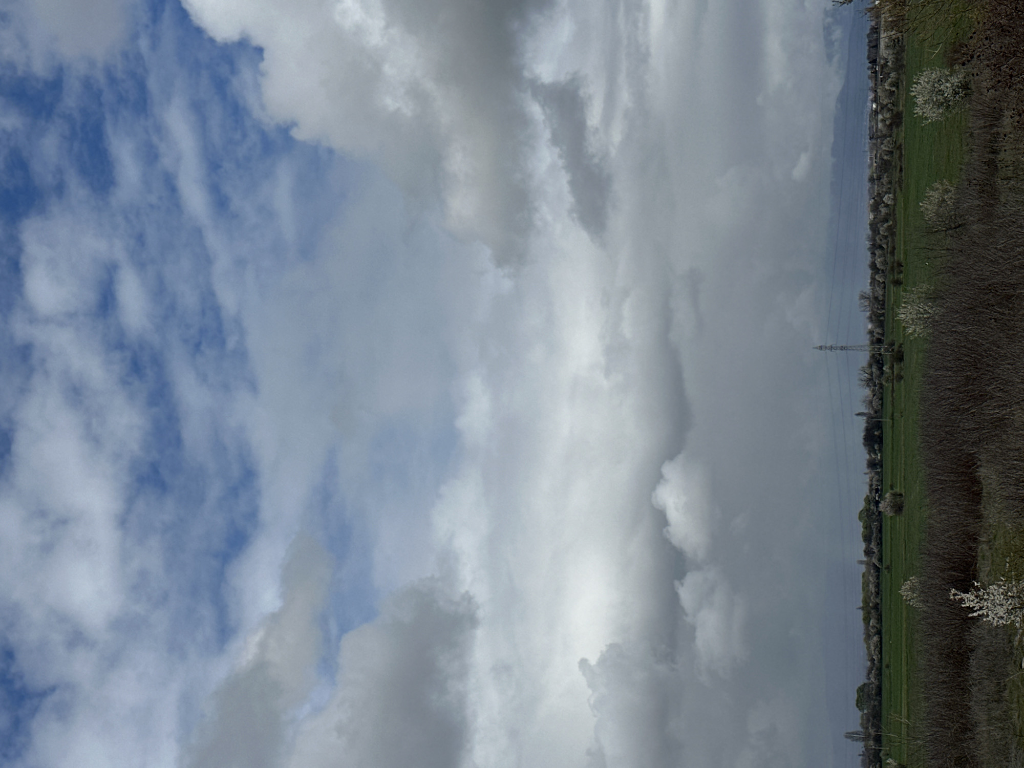 The image depicts a rural landscape under a sky partially filled with clouds. The sky on the left side is blue with wispy, scattered clouds, while the right side is dominated by heavy, grey clouds. A field of green grass runs along the right edge of the frame, bordered by a row of trees and bushes. Some of these trees appear to be in bloom, displaying white blossoms. An electrical pylon is visible in the field. There is no evidence to suggest that this photo was taken in Sofia, Bulgaria. There is no information on people, subjects, objects, actions, or interactions.