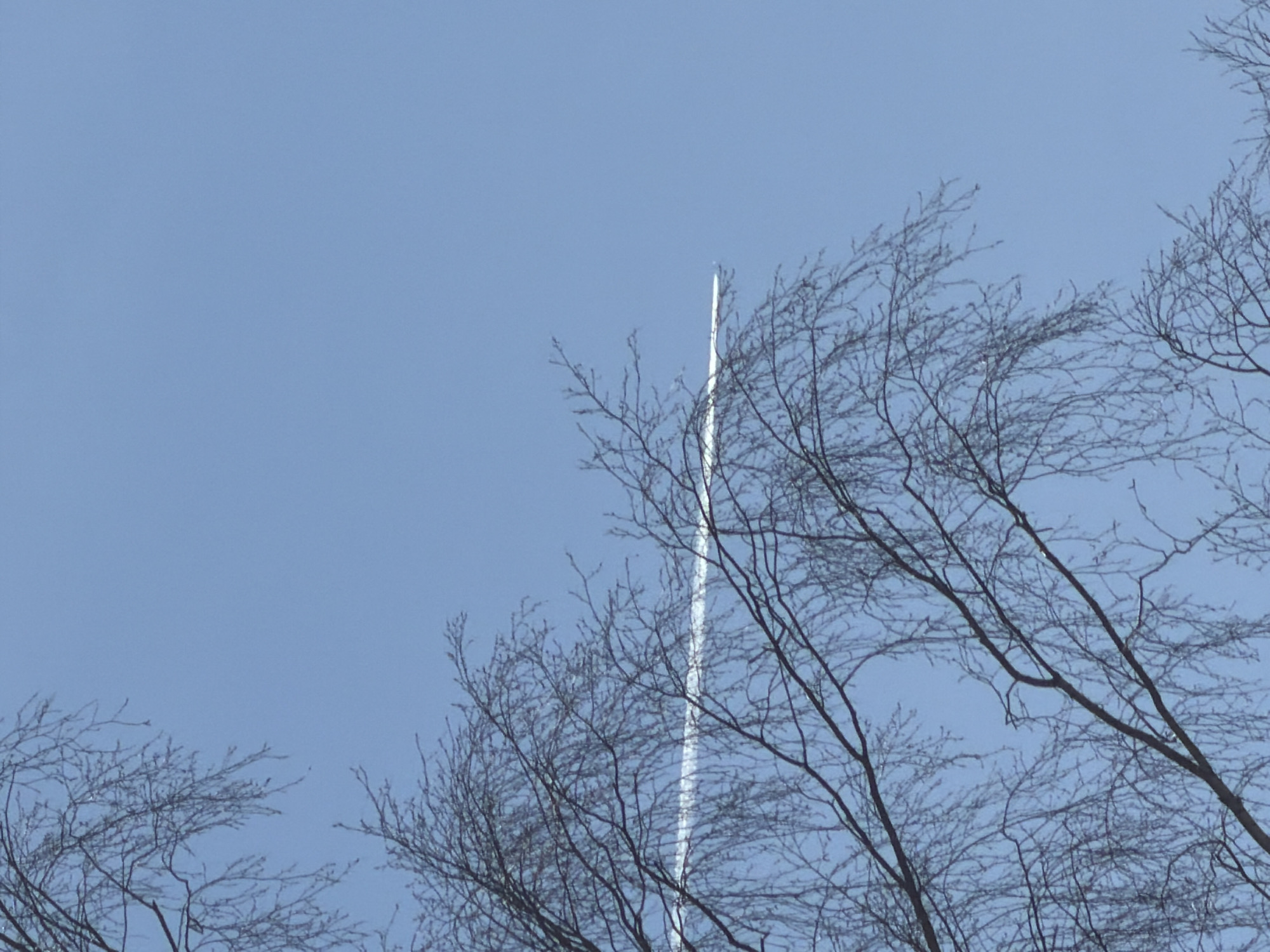 The image depicts a blue sky with a prominent contrail bisecting the frame. Bare branches of trees fill the foreground and right side of the image. There is no discernible information to ascertain the location in the city of Chaikovsky, Russia. No people are visible.