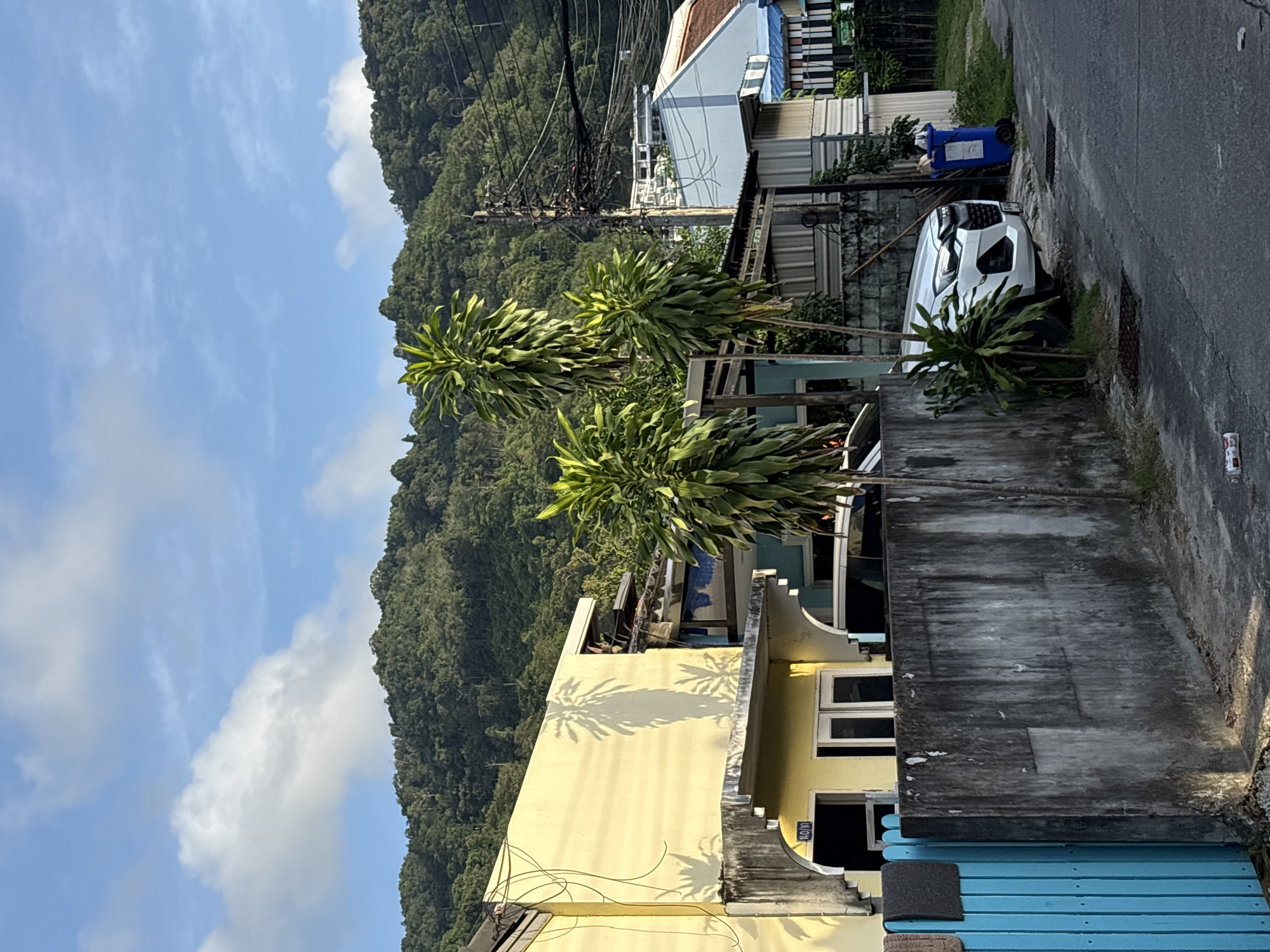 In the city of Choeng Thale, Thailand, a scene unfolds in front of a yellow-painted building with a weathered concrete wall bordering a street. The building features arched doorways and white-framed windows. A bright blue wooden fence is visible to the left of the wall, with a dark mat hanging on it. Three tall, leafy palm trees stand in front of the building. A white car is parked on the street, partially obscured by a plant. To the right of the car, a blue trash bin with wheels stands near a street drain. The background reveals a dense, green, tree-covered hillside under a blue sky with scattered white clouds. The environment appears to be a residential or commercial area, with utility poles and tangled wires present. The lighting suggests it is late afternoon or early morning, with shadows cast by the trees on the building.