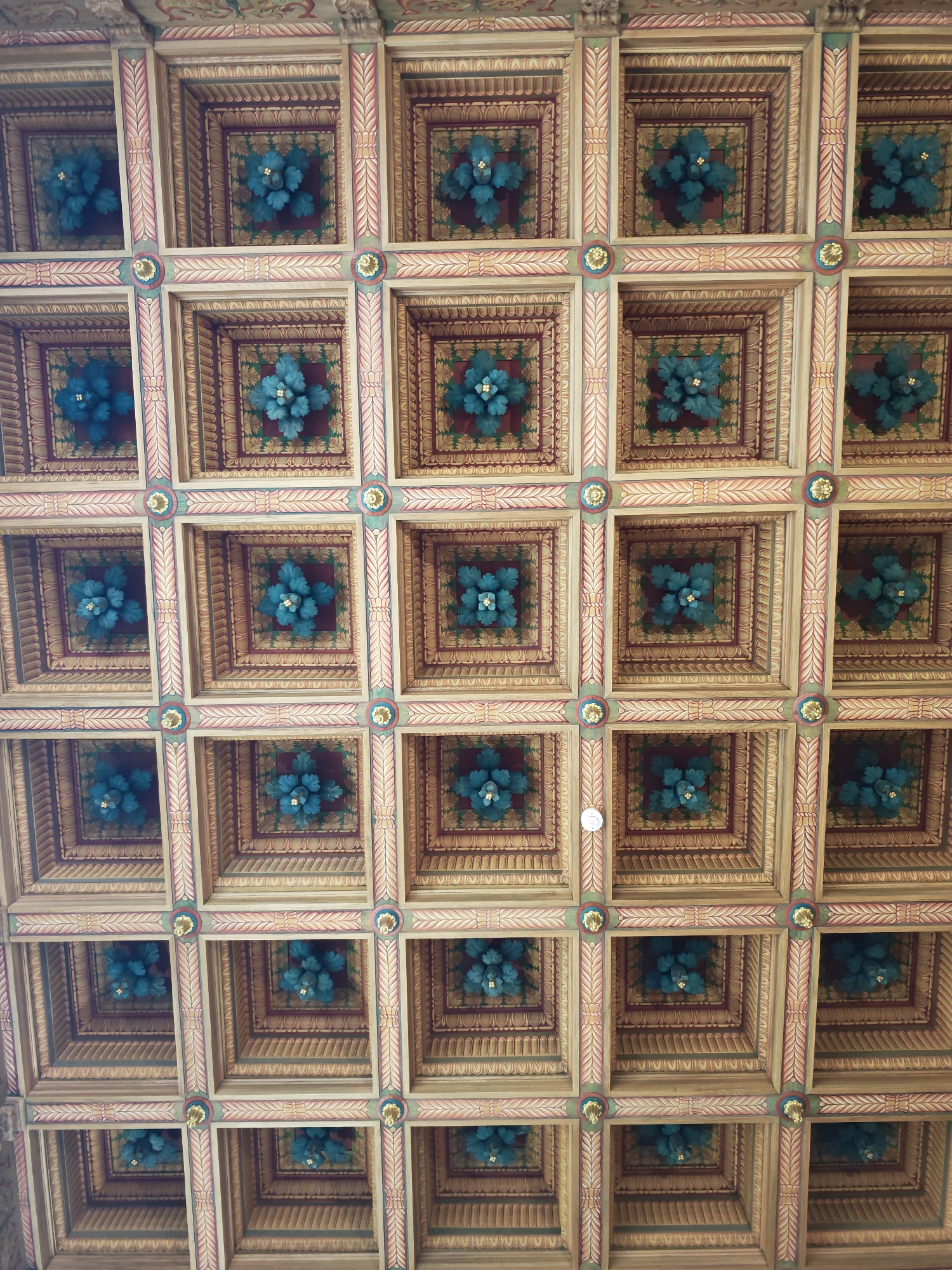 An ornate coffered ceiling is shown, composed of a repeating pattern of recessed square panels. Each panel contains a central decorative element resembling a stylized blue flower with a gold center. The panels are surrounded by intricate wooden detailing painted in shades of beige, red, and green. The overall impression is one of rich architectural ornamentation. The specific location within an unknown city and building is not determinable from the image.