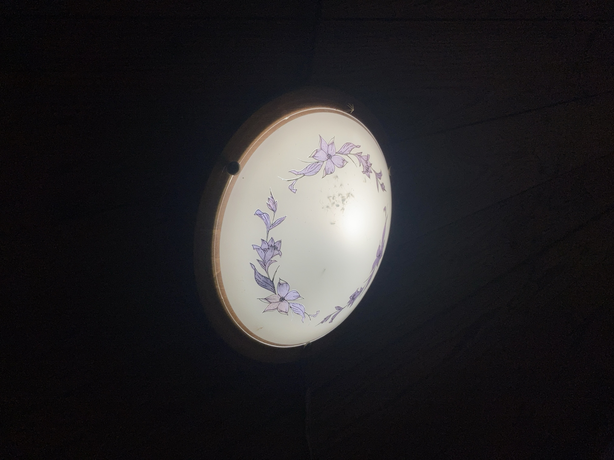 A close-up, low-angle shot captures a ceiling light fixture against a dark, indistinct background. The fixture is oval-shaped with a translucent white diffuser decorated with purple floral motifs. The outer rim of the fixture appears to be made of a light-colored wood or metal. The light emitted from the fixture casts a warm glow on its surface, highlighting some small imperfections or dust specks on the diffuser. The overall impression is that of an interior space, possibly a room in a residential building located in the city of Rakity, Russia, though no specific details of the city are visible in the image.