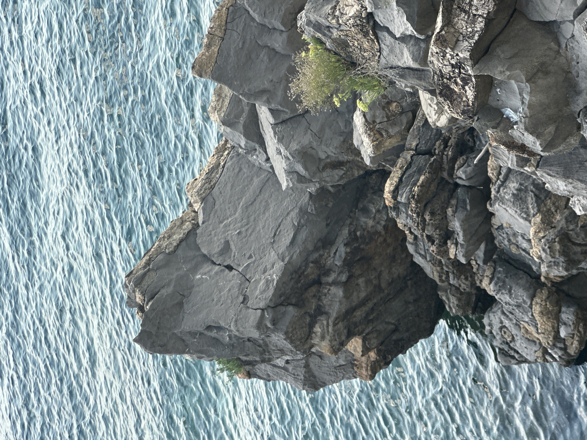 The image shows a rocky coastline with the turquoise waters of the Adriatic Sea. The rocks are weathered and appear to be part of a cliff face that extends into the sea. Some small green plants are growing in the crevices of the rocks. The water has small ripples on its surface, suggesting a light breeze. The scene is natural and unpopulated, typical of the coastal areas around Budva, Montenegro.