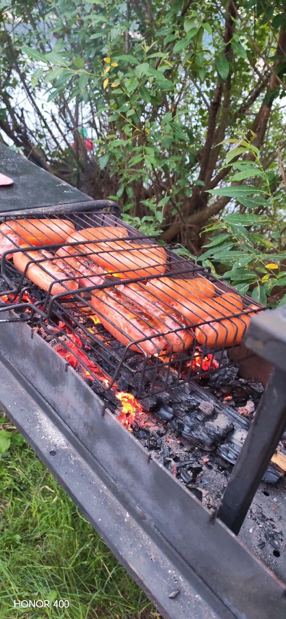 In Noviy, Russia, an outdoor barbecue is in progress. Several sausages are arranged on a metal grill, positioned above glowing red coals. The grill is part of a dark-colored barbecue pit, the sides of which are visible. The background is dominated by lush green foliage and tree branches, suggesting a natural or park-like setting. The lighting indicates it is daytime. The bottom left corner of the image displays the text "HONOR 400," which is likely a camera model identifier. No people are present in the frame.