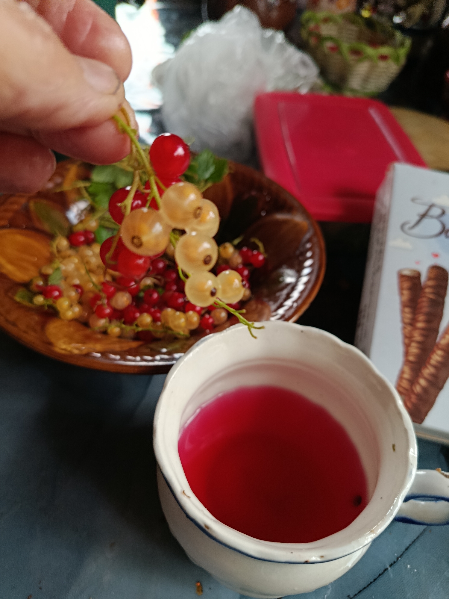 A close-up shot captures a hand holding a small branch of red and white currants. The berries are clustered together on delicate green stems. In the background, a brown, textured plate is filled with more currants, both red and white. To the right of the plate, a white teacup filled with a vibrant pink liquid sits on a dark blue surface. A small piece of dark debris is visible floating in the liquid. Next to the teacup is a light blue box with the letter "B" prominently displayed in a script font, accompanied by small clouds and hearts. The box also shows the tops of what appear to be chocolate wafer rolls. In the further background, a red plastic tray is visible, as well as a woven basket with green trim and what looks like white plastic sheeting. The scene is set indoors, likely a domestic setting in Vereya, Russia, with a soft, diffused light suggesting it could be daytime. The overall impression is one of simple domesticity, perhaps preparing for a refreshing beverage with fresh fruit and a treat.