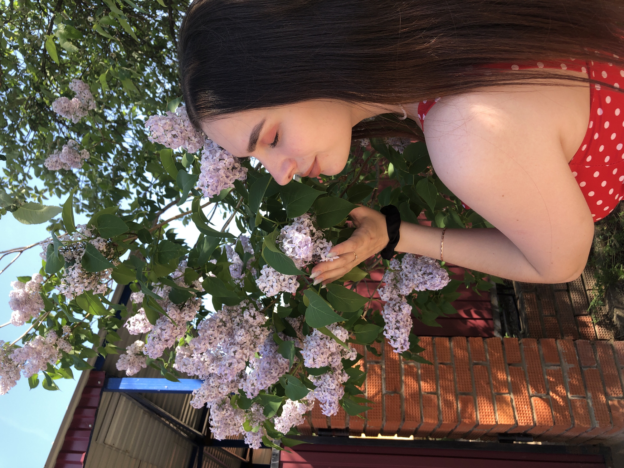 A young woman in a red and white polka dot dress leans over a bush of lilac flowers. Her face is turned towards the flowers, appearing as though she is smelling them. She is wearing a black scrunchie on her wrist and a gold bracelet. The bush is in front of a red brick wall. The location is Noviy, Russia.