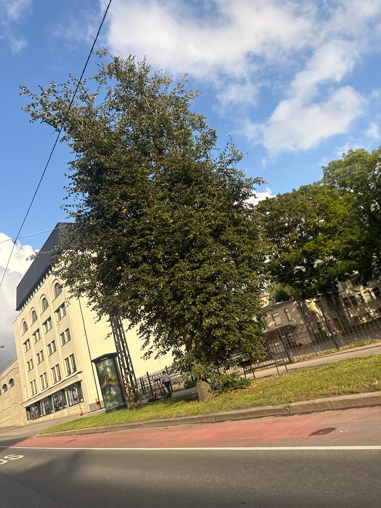 The image depicts an outdoor urban scene with a large, leafy tree prominently featured in the foreground. Behind the tree, a light-yellow, multi-story building with arched windows is visible. The building has a dark-colored, sloped roofline. A metal pole, possibly a streetlamp or utility pole, stands near the tree. In the middle ground, there is a grassy area bordered by a sidewalk and a fence. Beyond the fence, other buildings and trees are visible. A person on an electric scooter is moving along the sidewalk. The ground in the foreground is asphalt with a red painted lane and a white line. The sky is blue with scattered white clouds. The scene appears to be a street in Tallinn, Estonia.