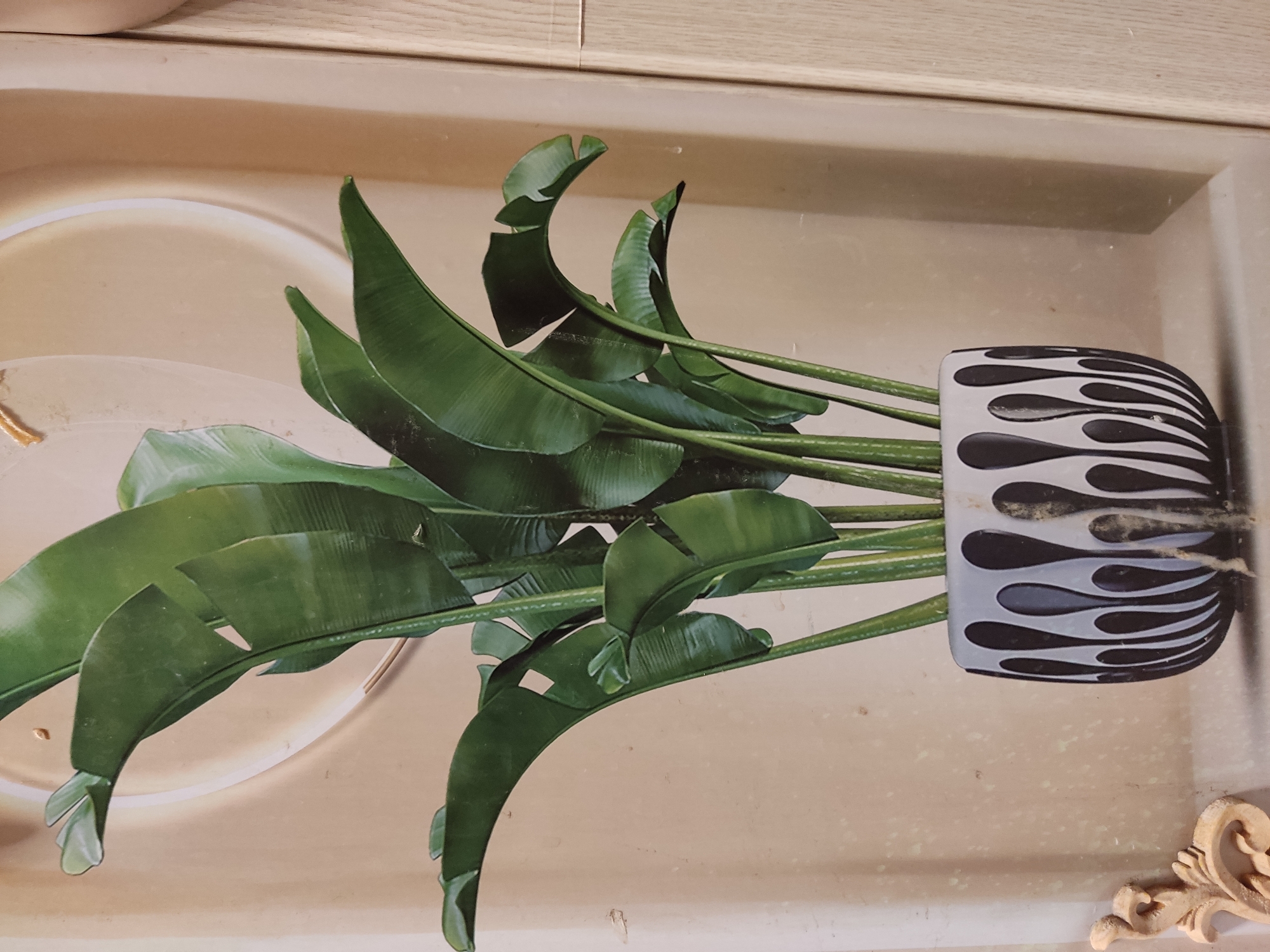This is a medium shot, eye-level photograph of a large, artificial potted bird of paradise plant against a beige wall with a faint circular design. The plant has large, deep green, paddle-shaped leaves and thick, green stems. It is housed in a decorative, black and white patterned pot with a glossy finish. The pot's design features a repeating pattern of elongated, teardrop shapes. To the left of the pot, there is a small, ornate, carved wooden decorative element. The background is a plain beige wall with some subtle texture and dust. To the right of the plant, a vertical wooden panel is visible, suggesting the wall might be part of a room or a display. There are no people present in the image. The photograph appears to be taken indoors, with soft lighting that casts subtle shadows. The image does not contain any information related to the city of Noginsk, Russia.