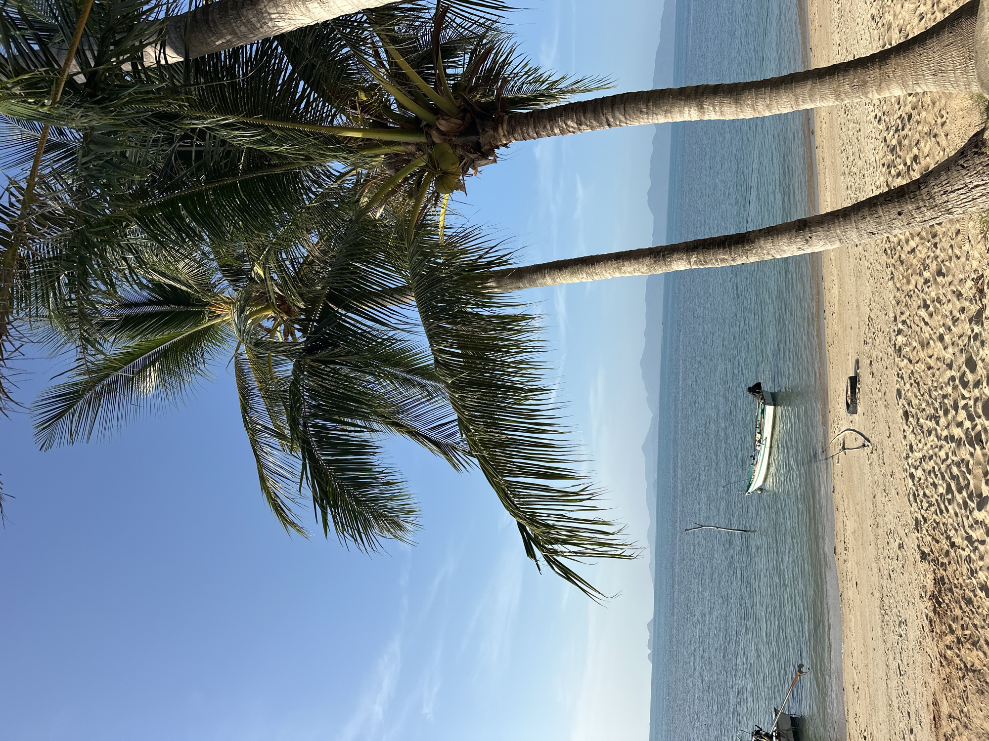 This is a photograph of a beach in Ko Samui District, Thailand. Two palm trees are in the foreground, their trunks angled and their fronds extending into the frame. The beach is sandy and appears to be unpopulated. The ocean is calm and a clear blue, with several small boats visible in the water. In the distance, a hazy coastline with mountains can be seen. The sky is a bright, clear blue with a few wispy clouds. The lighting suggests it is daytime, likely late morning or early afternoon, with the sun high in the sky. There are no people or animals clearly visible in the frame.
