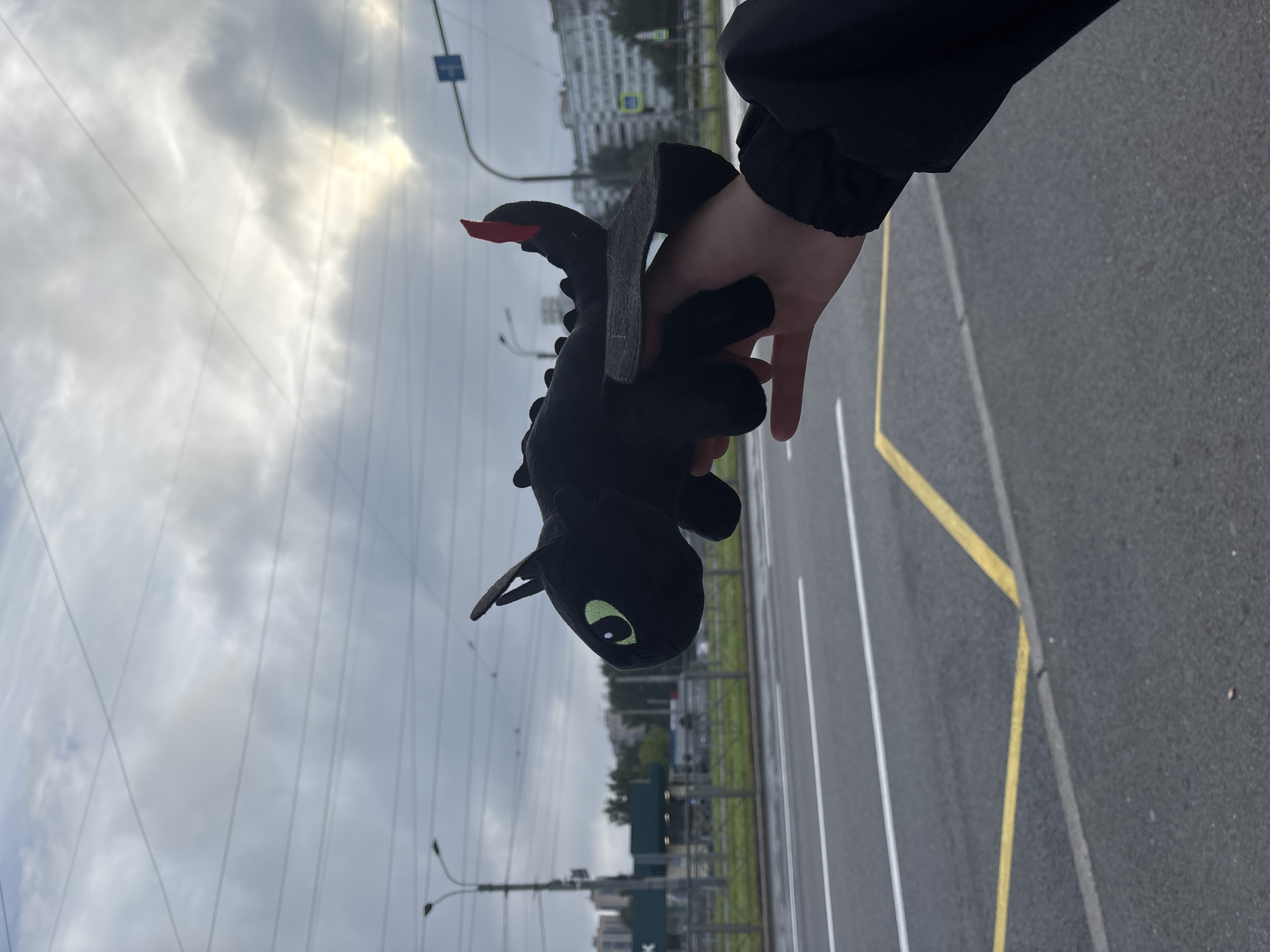 A hand holds a black plush toy dragon with green eyes and a red accent on its tail. The dragon is held in front of a cloudy sky with visible overhead power lines. In the background, a street with lanes marked by white and yellow lines is visible, along with streetlights, buildings, and trees. The scene appears to be an urban environment, possibly in Saint Petersburg, Russia, given the architectural style of the buildings and the overhead electrical infrastructure commonly found in Russian cities.