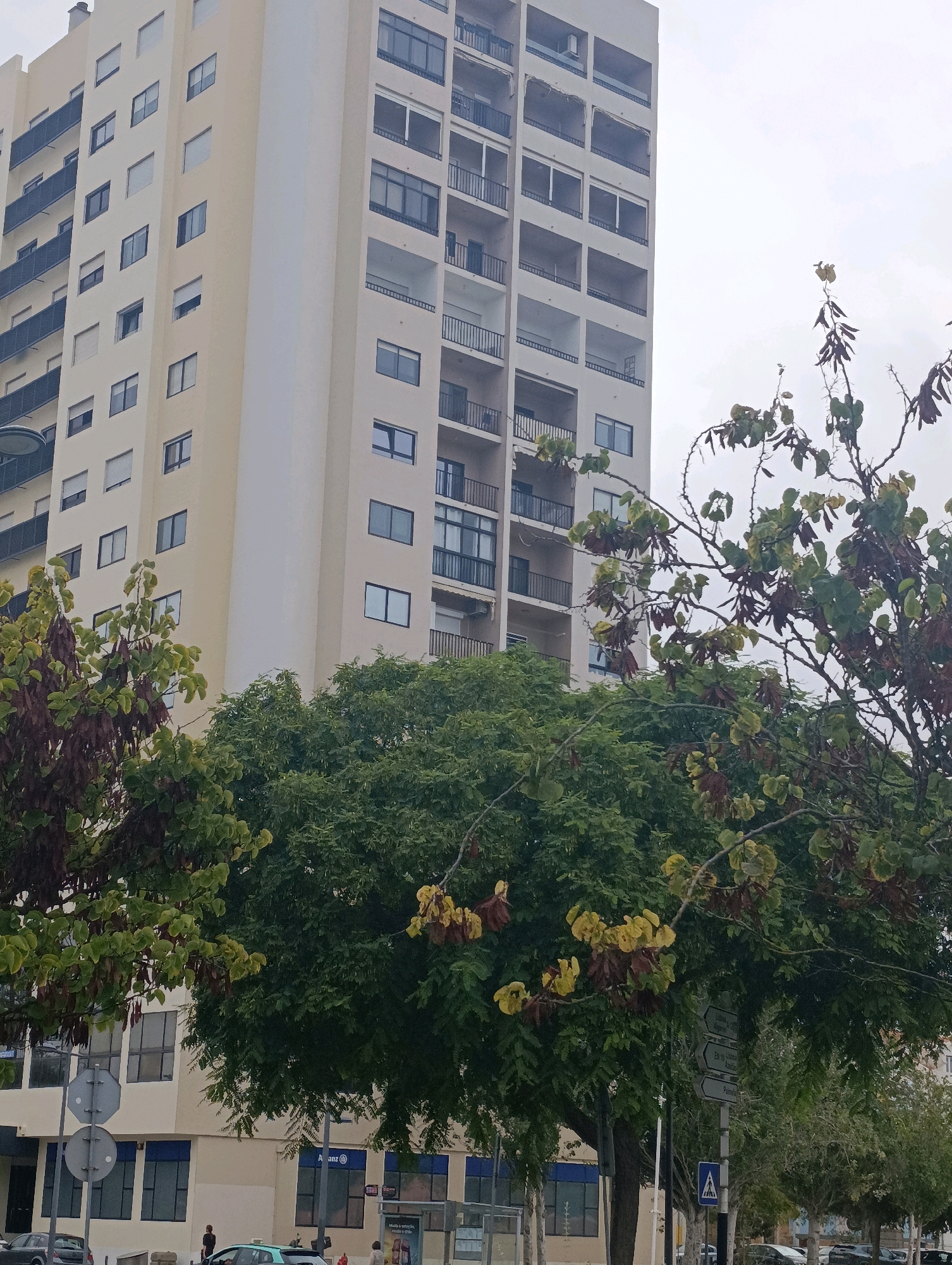 The image shows a tall, pale yellow apartment building with multiple floors and balconies. In the foreground, there are several trees with green and brown leaves. The lower part of the image shows the street level, with a building that appears to be a business, possibly an Allianz insurance office, with its logo visible. There are also traffic signs and some parked cars. The sky is overcast. The location appears to be a street in Setúbal, Portugal, as indicated by street signs and architectural style.