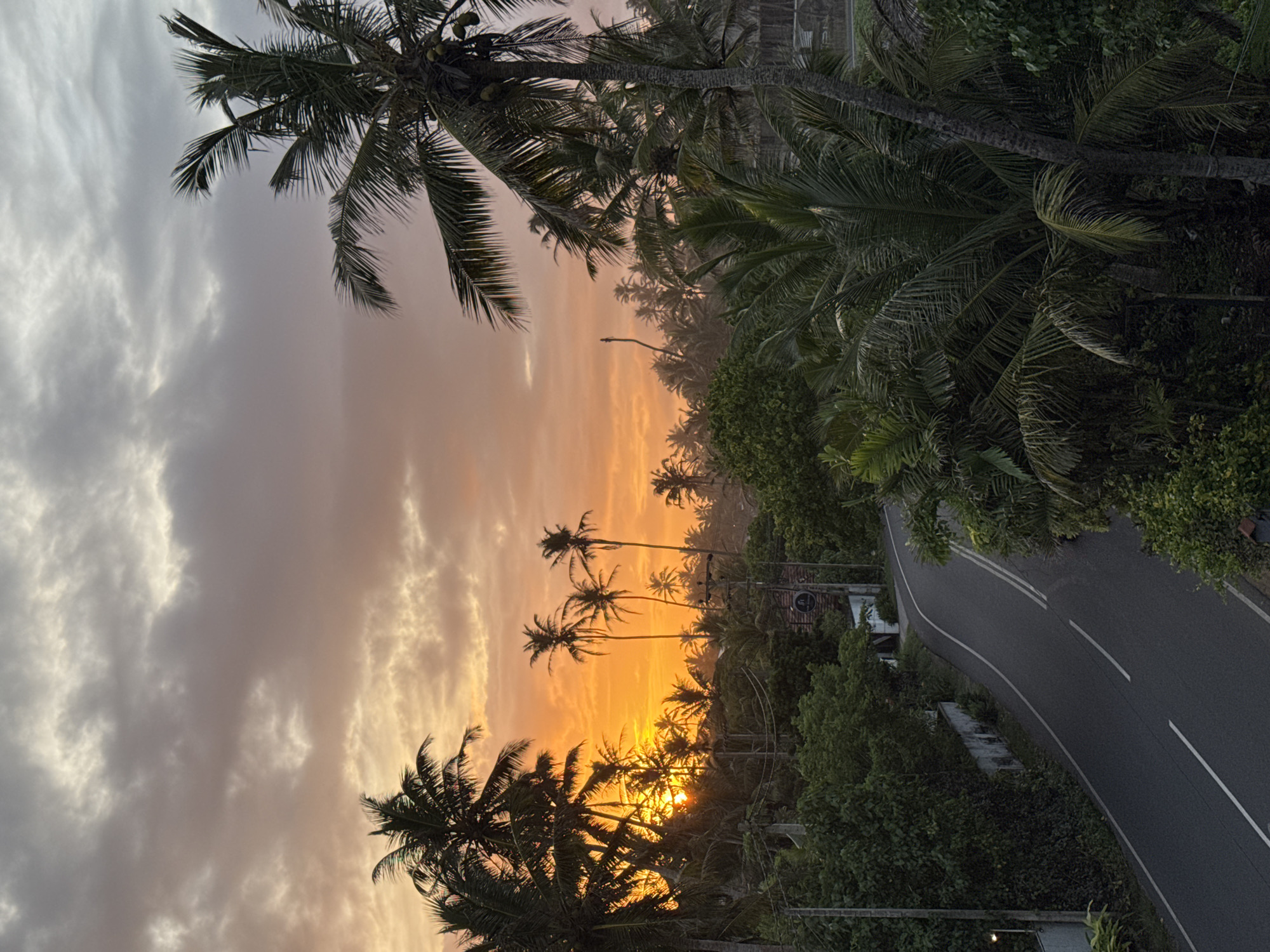 A panoramic, medium shot captures a road winding through a dense tropical landscape at sunset in Goviyapana, Sri Lanka. The sky is a canvas of dramatic clouds, painted in hues of orange and pink, with the sun peeking through, casting a warm glow. Towering palm trees with their characteristic fronds frame the scene, their silhouettes stark against the vibrant sky. The road, asphalted and marked with white lines, curves gently through the lush greenery. On either side of the road, the vegetation is thick and verdant, with a mix of trees and bushes. A white wall lines the left side of the road, partially covered in vines. In the background, more palm trees and foliage create a sense of depth, suggesting a sprawling tropical environment. The overall impression is one of a serene and picturesque tropical evening.