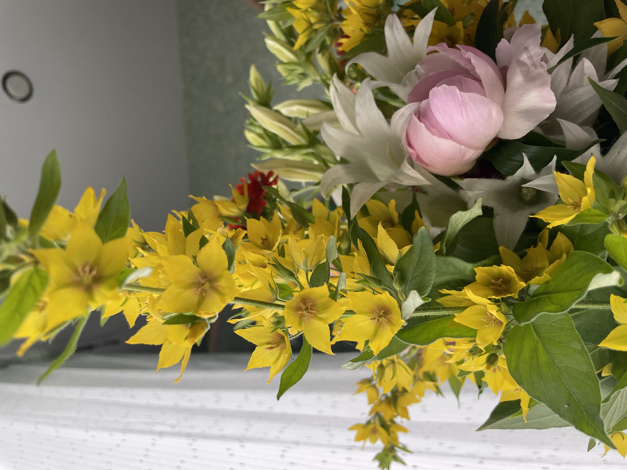 A vertical medium shot captures a close-up view of a bouquet of flowers indoors. The bouquet is comprised of bright yellow flowers with star-shaped petals, interspersed with white bell-shaped flowers, a light pink peony, and a few buds. Green leaves and stems are visible throughout. The background on the left features a sheer white curtain, while the right side shows a muted grey wall with a circular object at the top, possibly a light fixture, and a textured green wall further down. The overall impression is that of a domestic setting, likely a home in Perm, Russia. There are no people or discernible actions taking place.