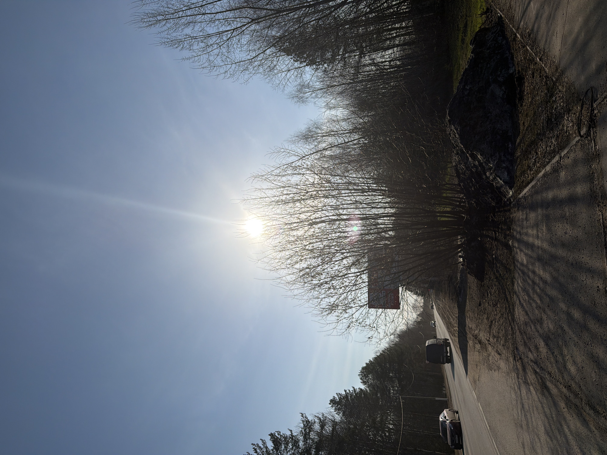 The image shows a road in Chaikovsky, Russia, with trees lining one side. The sun shines brightly in the sky. Cars are driving on the road. There is a sign visible among the trees. A dark, rocky area is present at the roadside. The sky is blue.
