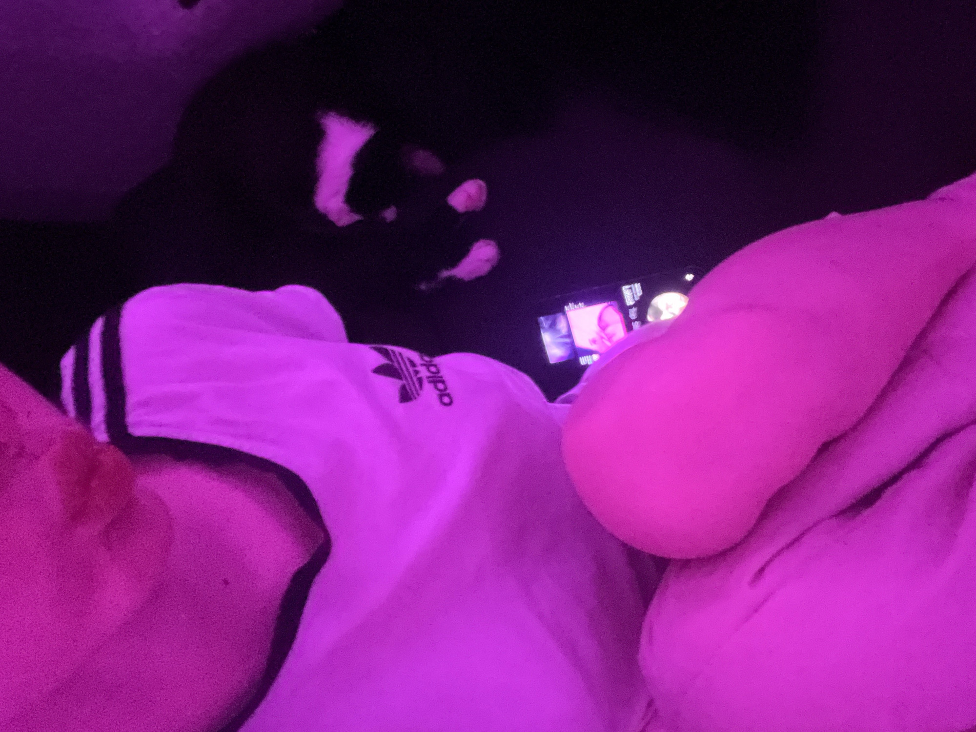 The image captures a close-up, high-angle view of a person relaxing indoors under strong purple and pink lighting. The main subject is an individual, likely reclining, with their upper torso and right arm visible in the foreground. They are wearing a white t-shirt with black stripes on the shoulder and the "adidas" logo prominently displayed on the chest. Their head or face is mostly out of frame on the left.
In the middle ground, a smartphone or similar mobile device is being held or rested, with its screen illuminated and displaying what appears to be a media player interface, possibly showing album art or video thumbnails. The screen's light contributes to the pinkish glow on the person's arm and the surrounding fabrics.
In the darker background, there is a blurry shape that resembles a cat or small animal, with light-colored fur patches visible against the dark surroundings, suggesting it might be white or light-colored. What looks like a paw or hand is also visible in the upper-left, adding to the impression of multiple subjects or elements.
The scene is dominated by artificial lighting, creating a vibrant, almost neon, purple and pink color scheme. This suggests a nighttime setting or a room with mood lighting. The overall atmosphere appears relaxed and casual, possibly in a bedroom or living area. No specific location cues are identifiable beyond an indoor setting. The visible text is limited to the "adidas" brand logo on the person's shirt.