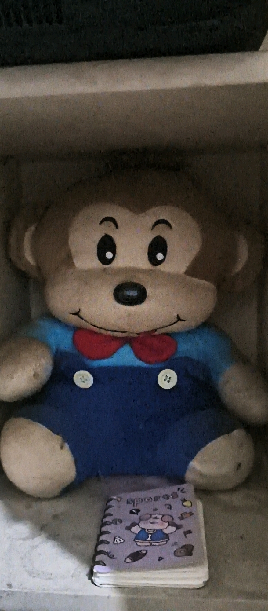Memory