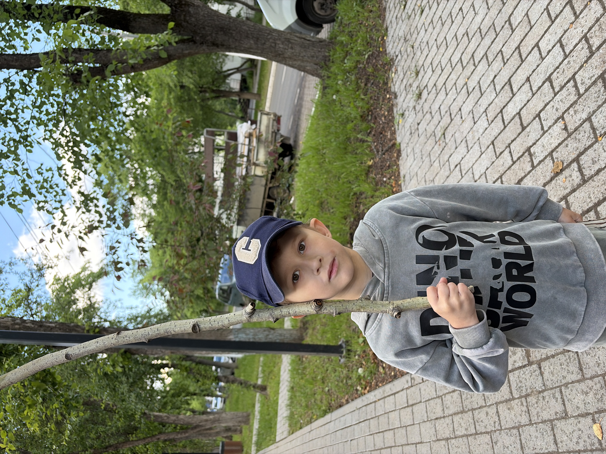 A young boy stands outdoors, looking directly at the camera, in what appears to be Chaikovsky, Russia. He is positioned on a paved sidewalk with a distinctive brick pattern. The boy wears a blue baseball cap with a white capital "T" on the front, and a grey hooded sweatshirt. On his sweatshirt, black text is visible, clearly showing "WORLD" and partially "DINO" before it, suggesting the phrase "DINO WORLD". He holds a long, slender tree branch or stick with both hands, extending it across his body.
The setting is an outdoor urban or suburban environment. Behind the boy, a row of trees with green foliage lines a grassy area next to a paved road. In the distance, a white vehicle is partially visible. The sky is a light blue with some clouds, seen through the leaves of the trees, indicating a daytime scene. The overall lighting is soft, suggesting either an overcast day or a time when the sun is not directly overhead. The boy's expression is neutral and engaging, as he maintains eye contact with the viewer.