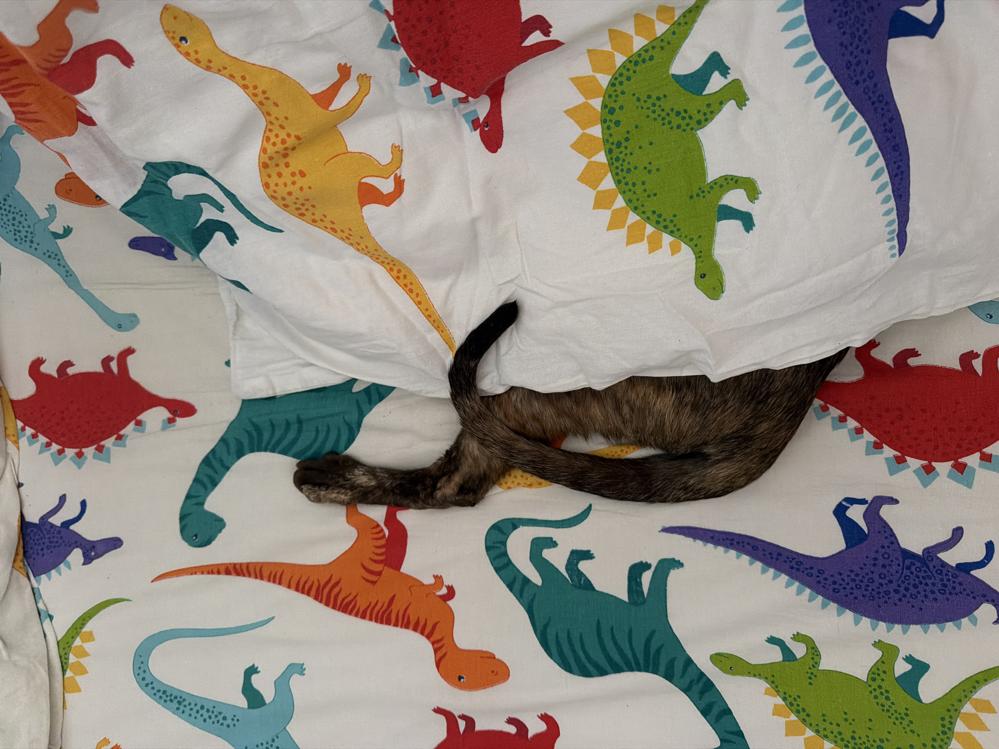 The image shows a cat partially hidden under a white blanket with a dinosaur print. The cat's tail and paw are visible outside the blanket. The background is the same dinosaur-printed fabric.