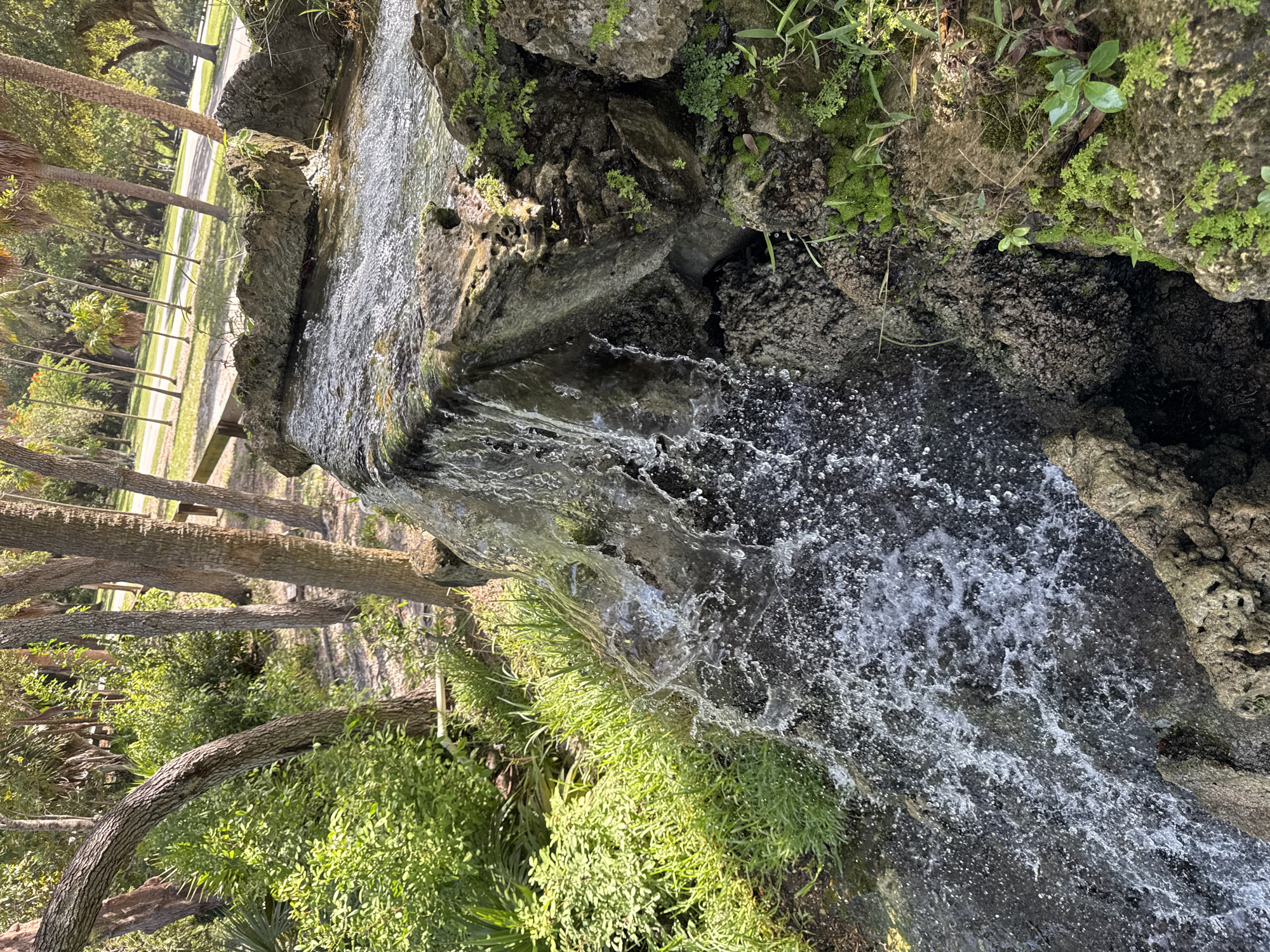 The image depicts a man-made waterfall feature in a park setting. Water flows over rough, rocky structures, creating a cascading effect. Lush green vegetation, including bushes and grass, surrounds the waterfall. In the background, several trees, including palm trees, are visible, suggesting a tropical or subtropical climate. A paved path and a wooden bench are also present in the park, indicating an area designed for recreation. The overall scene is one of a naturalistic water feature integrated into a park environment. The location is likely a park within Fort Lauderdale, Florida, given the presence of palm trees and the general aesthetic. There are no people or animals visible in the image.