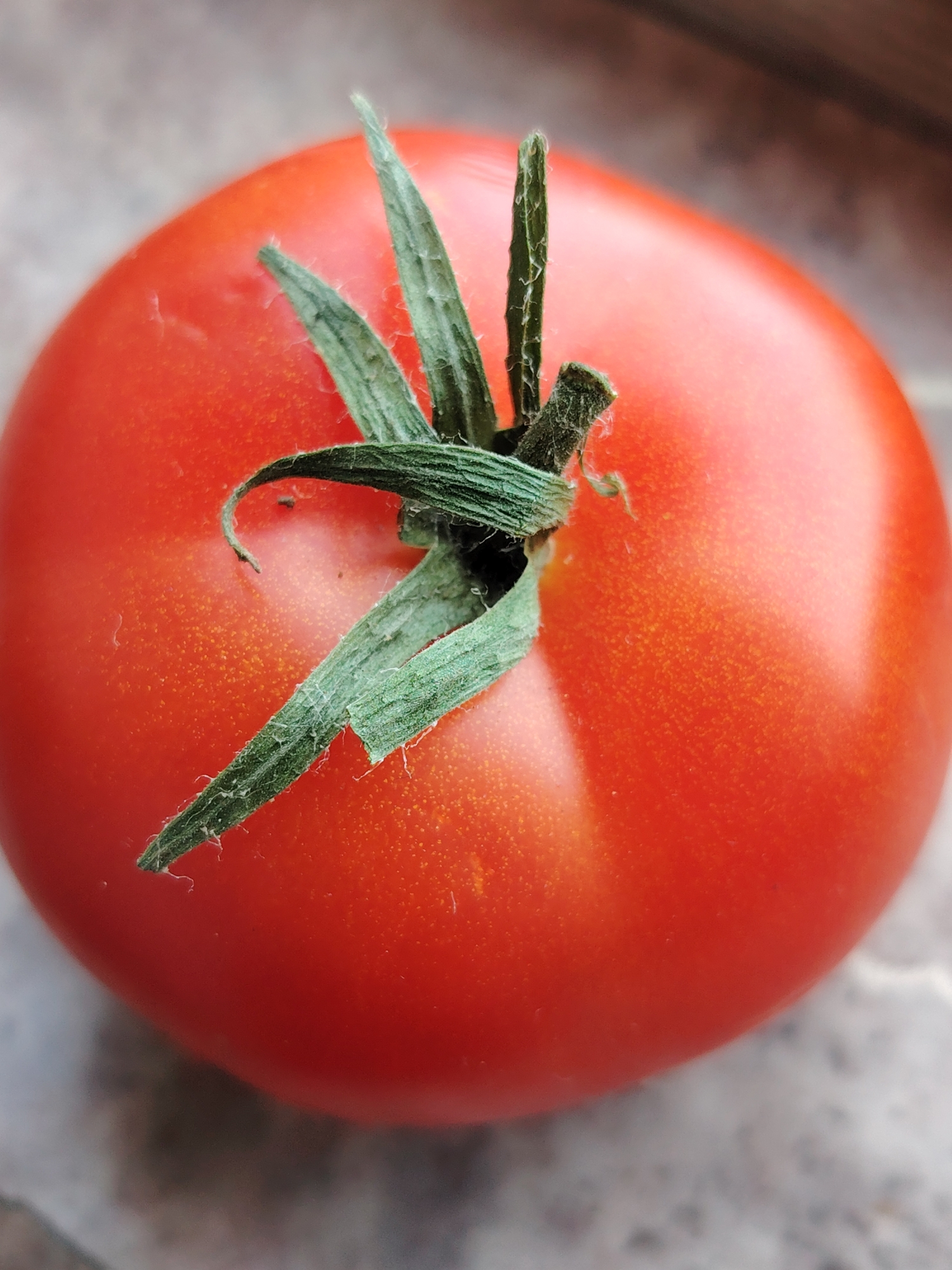A close-up, top-down view shows a ripe red tomato with its green stem and leaves. The tomato is glossy and appears to be resting on a speckled, light-colored surface, possibly a countertop or table. The background is blurred, with hints of brown, wooden texture above and a lighter, speckled texture below. There is a bright highlight on the upper right side of the tomato, suggesting a light source. The image is sharp on the tomato and its stem, with the focus gradually softening towards the edges. The scene appears to be indoors, with no identifiable landmarks or specific details to pinpoint a location within Chaikovsky, Russia.