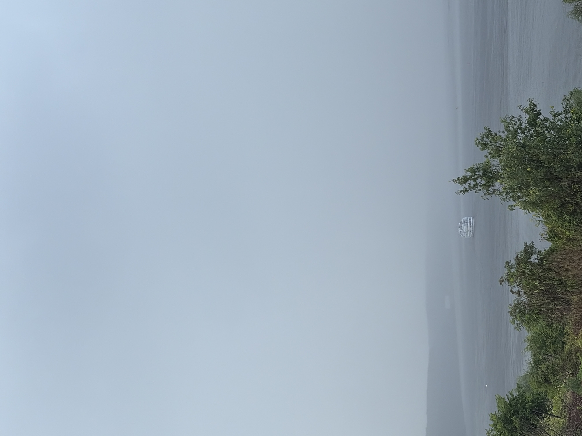 The image depicts a wide, placid body of water under a hazy, overcast sky. A white cruise ship with multiple decks and a light-colored superstructure is visible in the distance, moving from left to right across the frame. The water surface is largely calm, with subtle ripples. In the foreground, dense green foliage and trees are visible, suggesting a natural landscape. The background shows a low, wooded shoreline receding into the mist. The overall atmosphere is muted and serene, possibly indicative of fog or a light rain. The location is identified as Olkhovka, Russia.